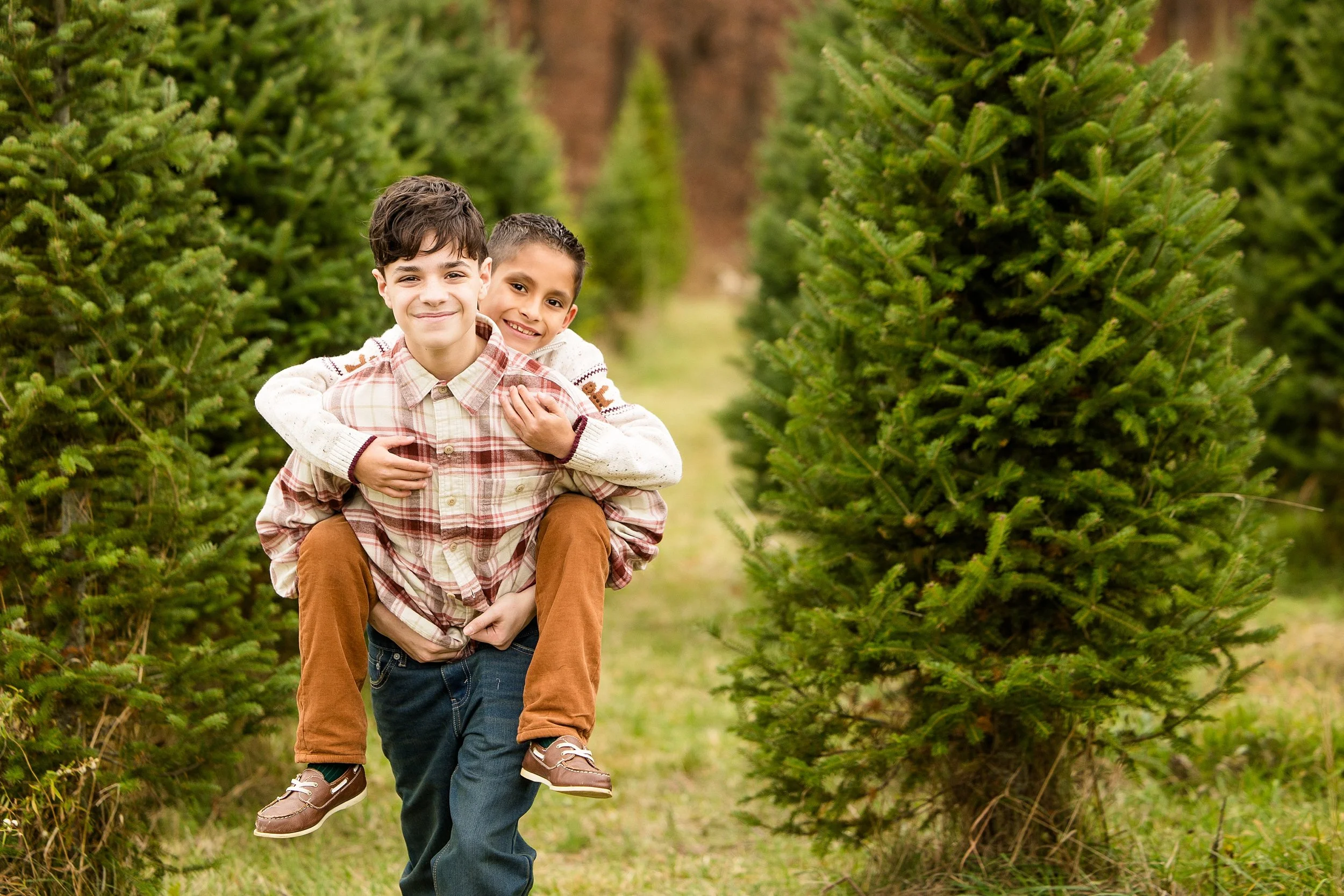 christmas tree farm mini photo sessions pittsburgh, christmas photos pittsburgh, grupps christmas tree farm photos, pittsburgh family photographer, zelienople photographer