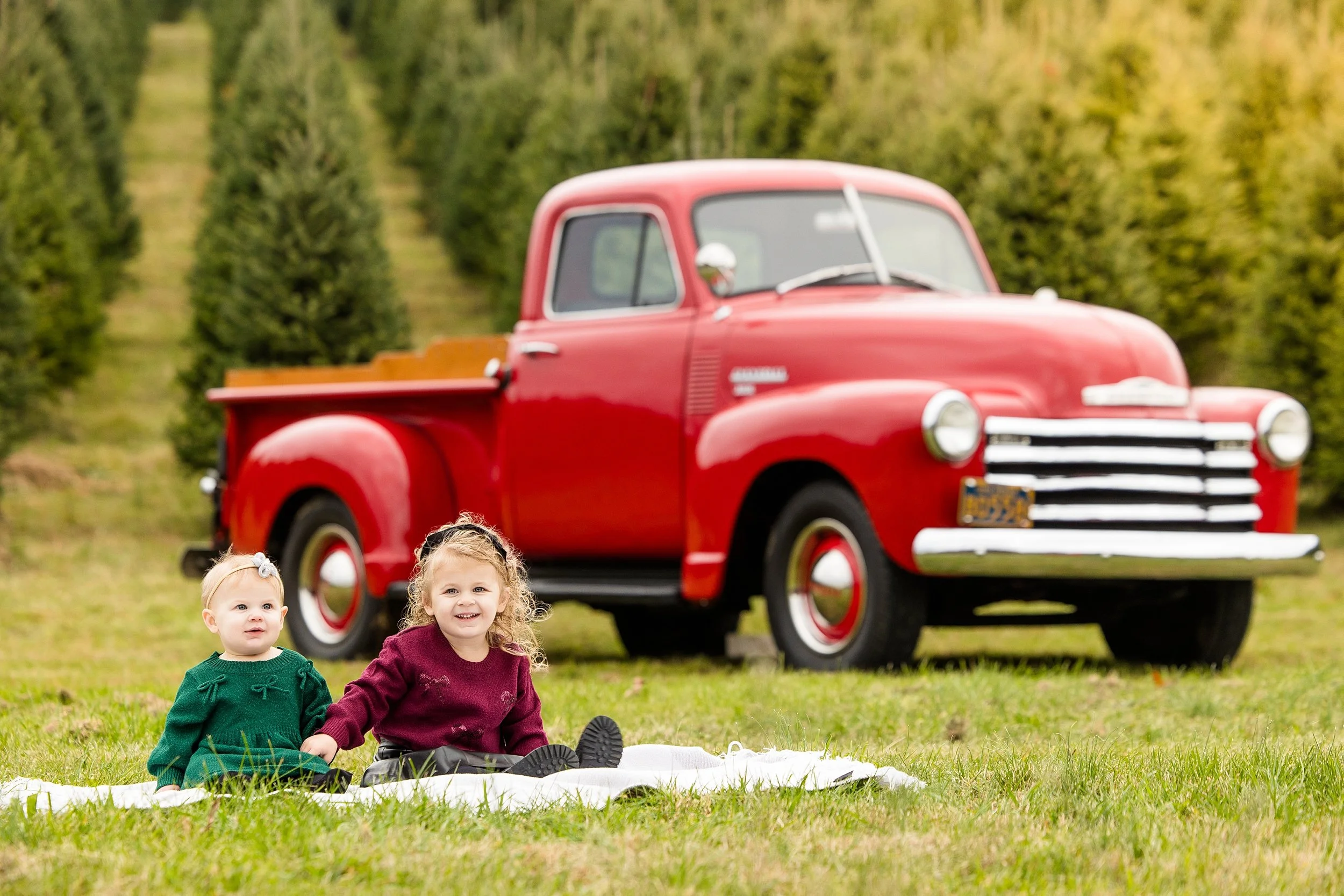 christmas tree farm mini photo sessions pittsburgh, christmas photos pittsburgh, grupps christmas tree farm photos, pittsburgh family photographer, zelienople photographer