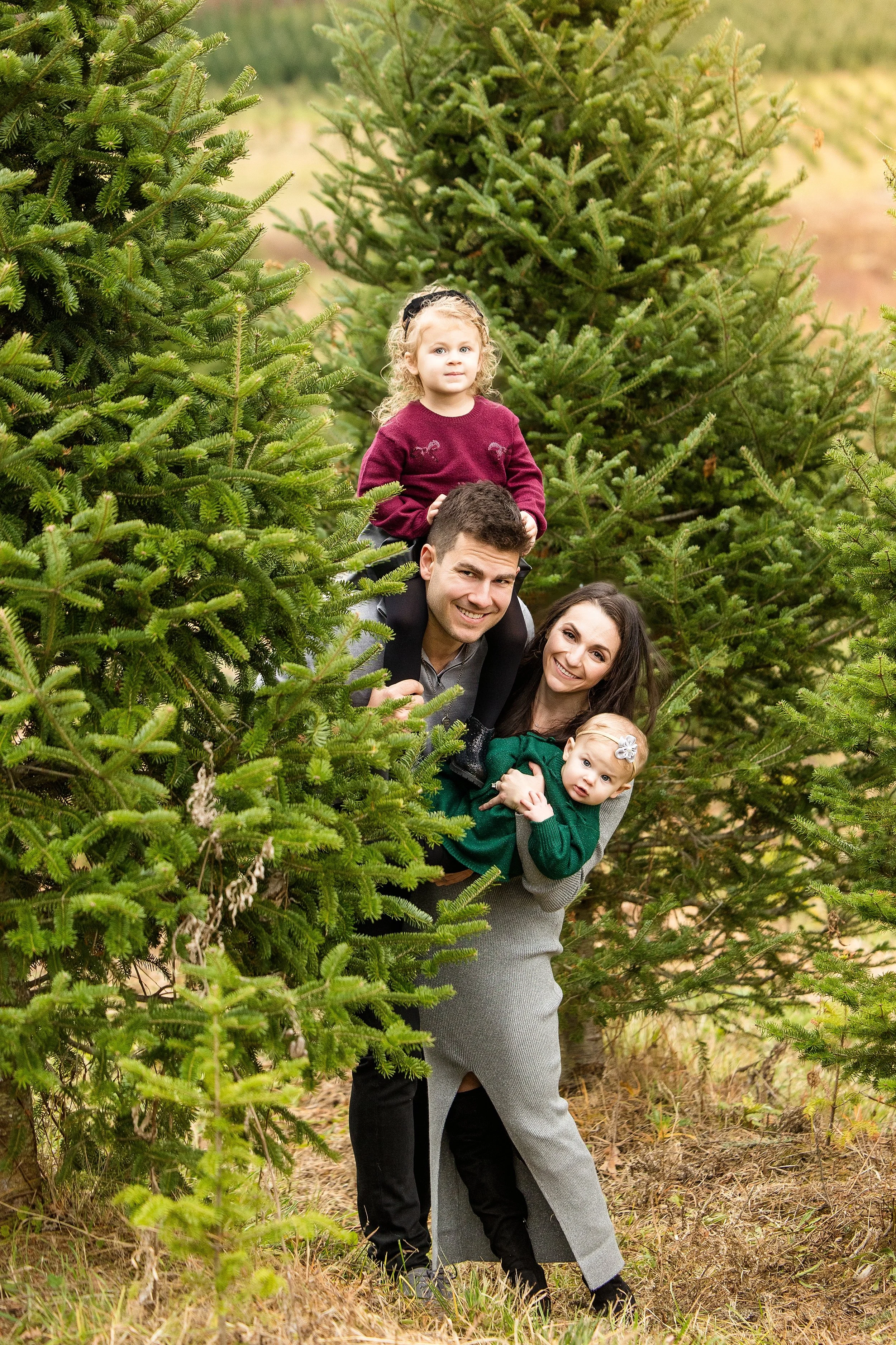 christmas tree farm mini photo sessions pittsburgh, christmas photos pittsburgh, grupps christmas tree farm photos, pittsburgh family photographer, zelienople photographer