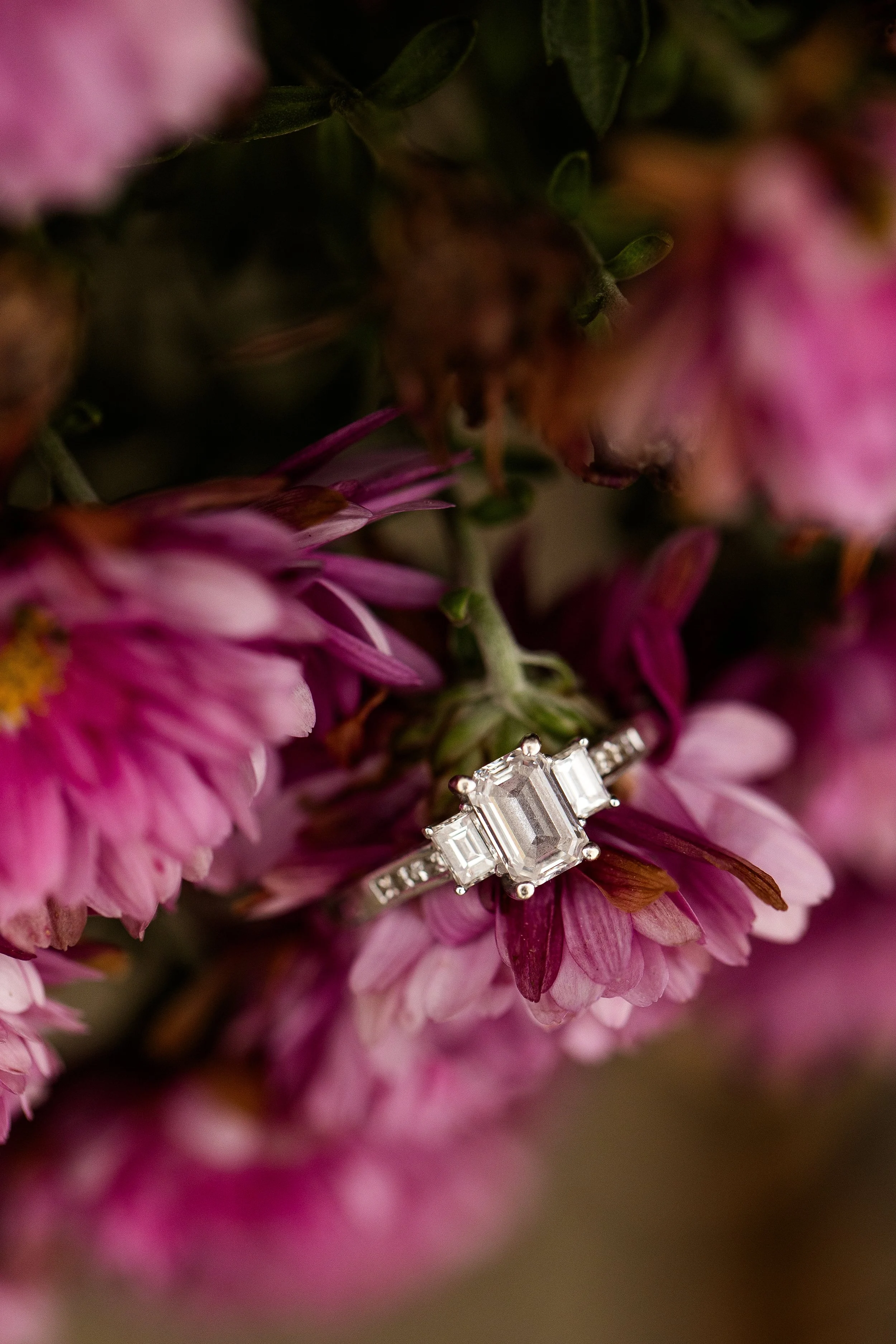 Pittsburgh-Wedding-Photographer-Pittsburgh-Senior-Photographer_2269-1.jpg