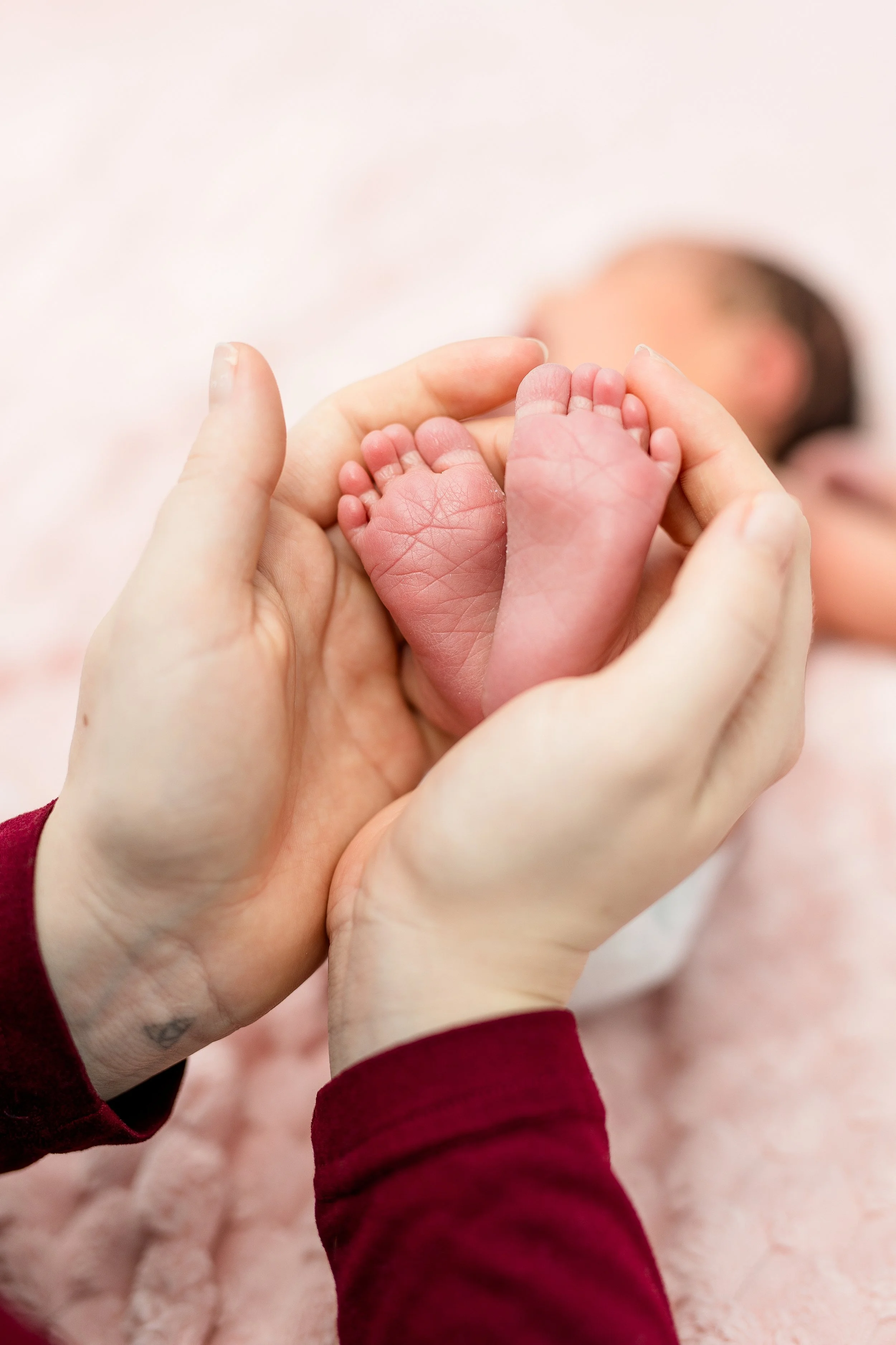 moon township newborn photographer, pittsburgh newborn photographer, cranberry township newborn photographer, mars newborn photographer