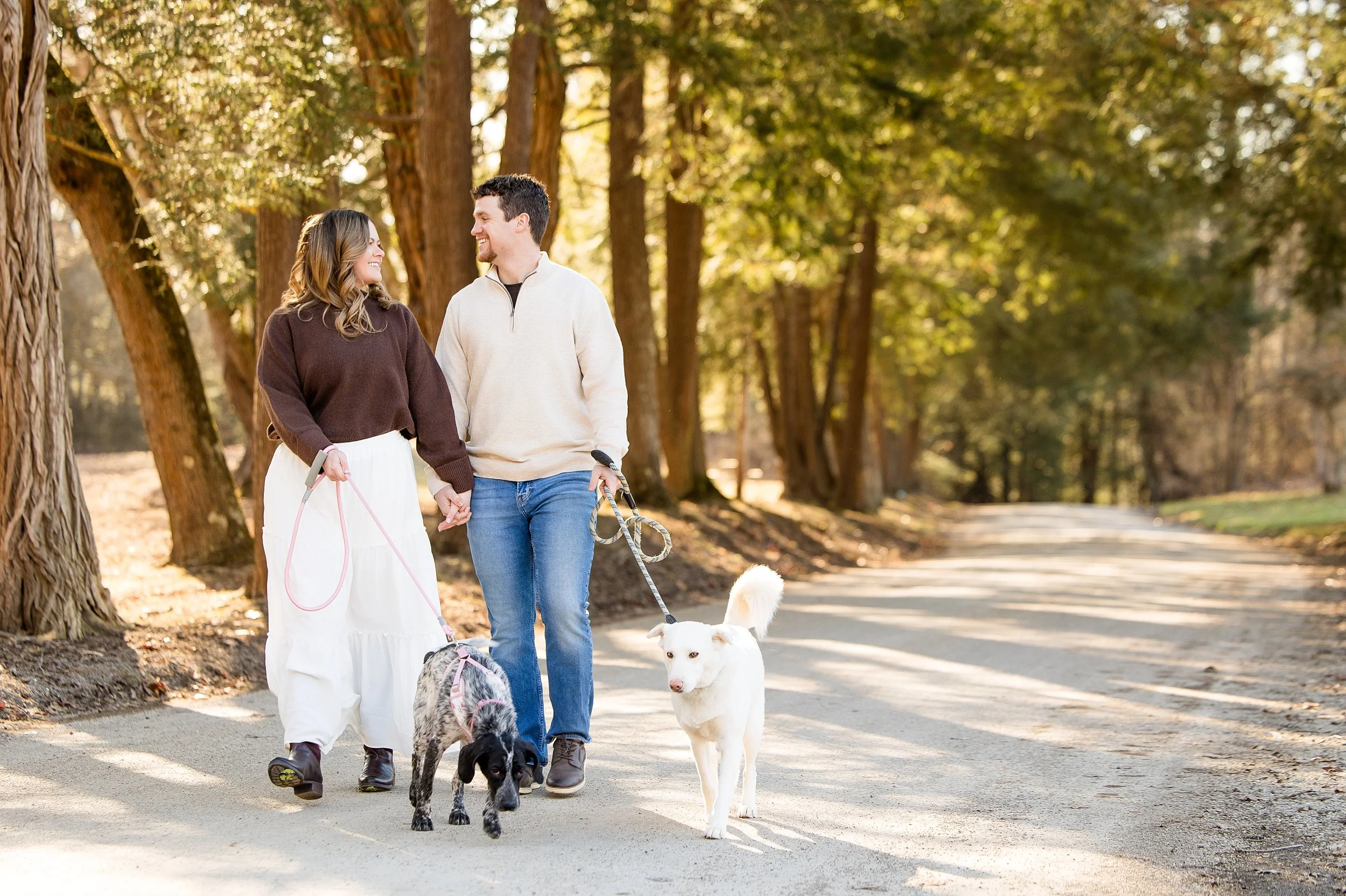 mcconnells mill engagement photos, pittsburgh engagement photographer, locations for engagement photos pittsburgh