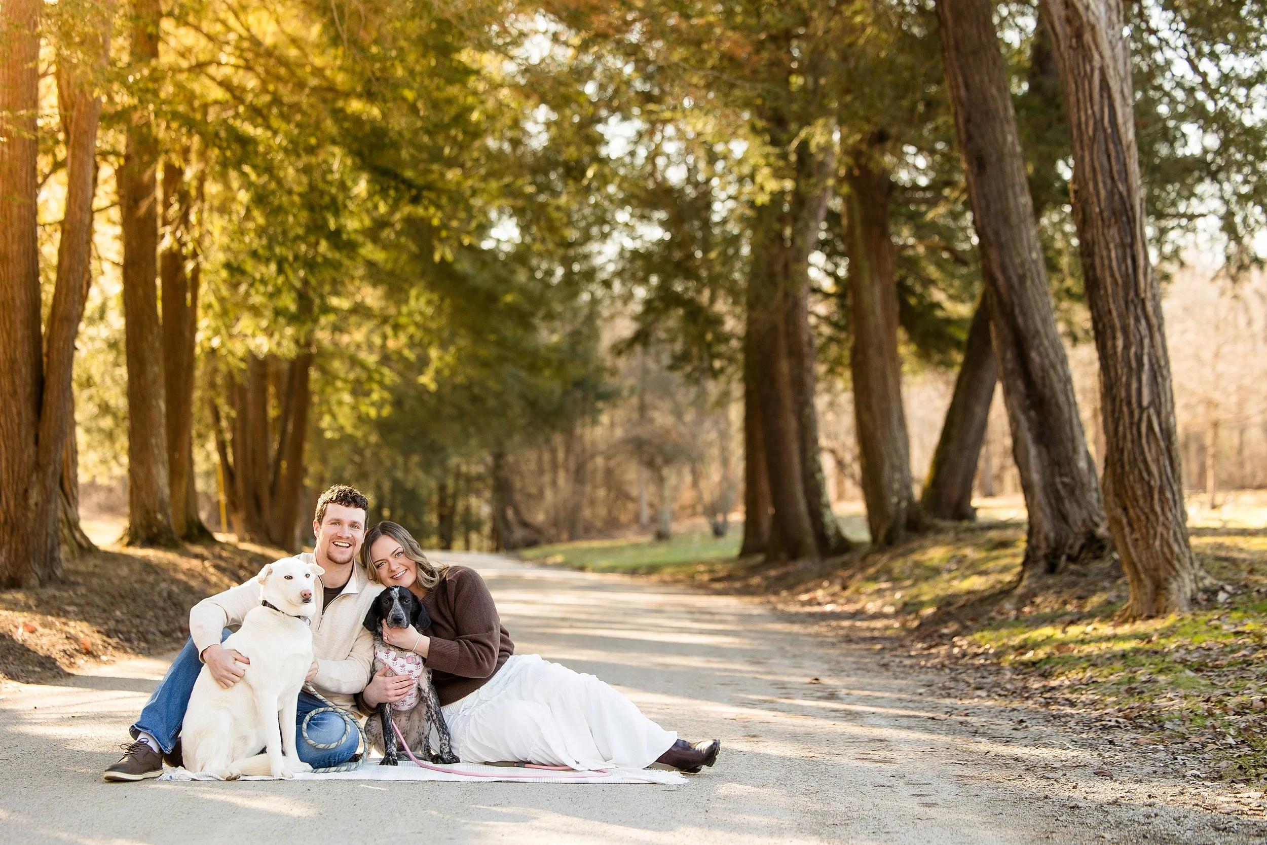 mcconnells mill engagement photos, pittsburgh engagement photographer, locations for engagement photos pittsburgh