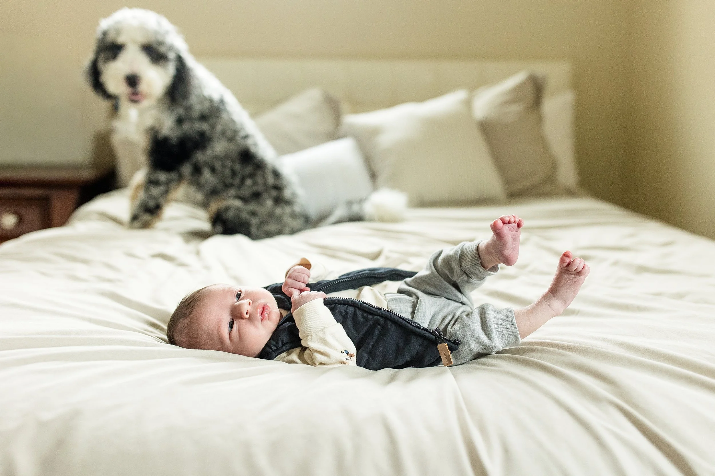 pittsburgh newborn photographer, cranberry township newborn photographer, zelienople newborn photographer, bethel park