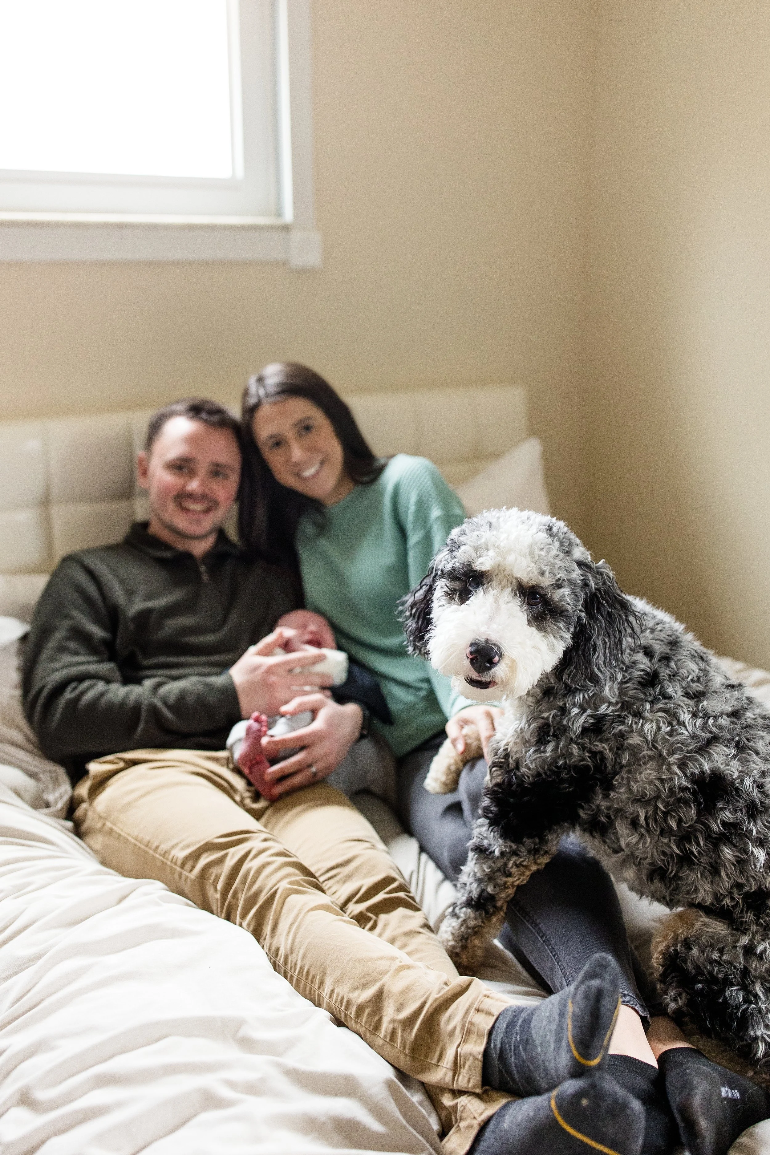 pittsburgh newborn photographer, cranberry township newborn photographer, zelienople newborn photographer, bethel park