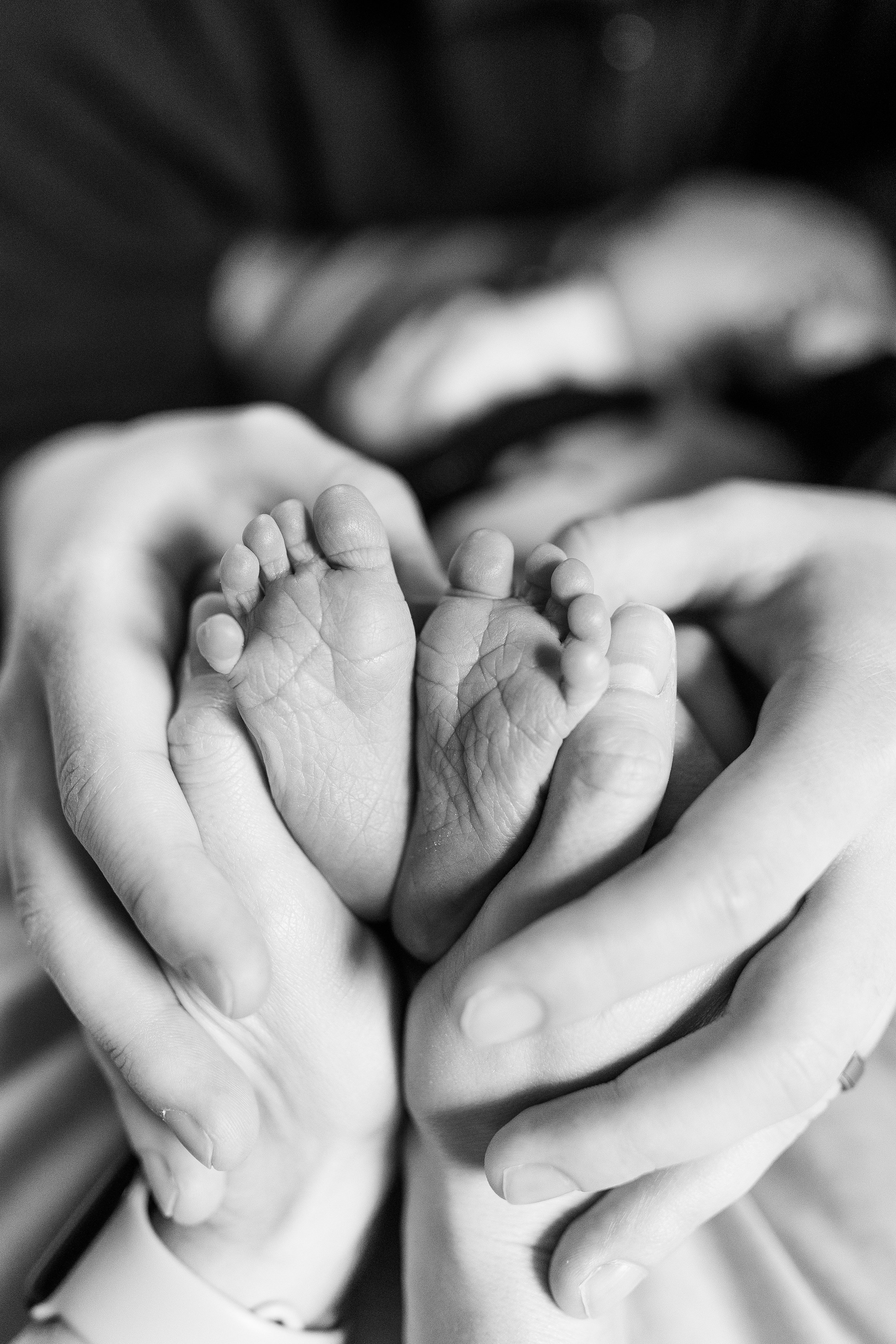 pittsburgh newborn photographer, cranberry township newborn photographer, zelienople newborn photographer, bethel park