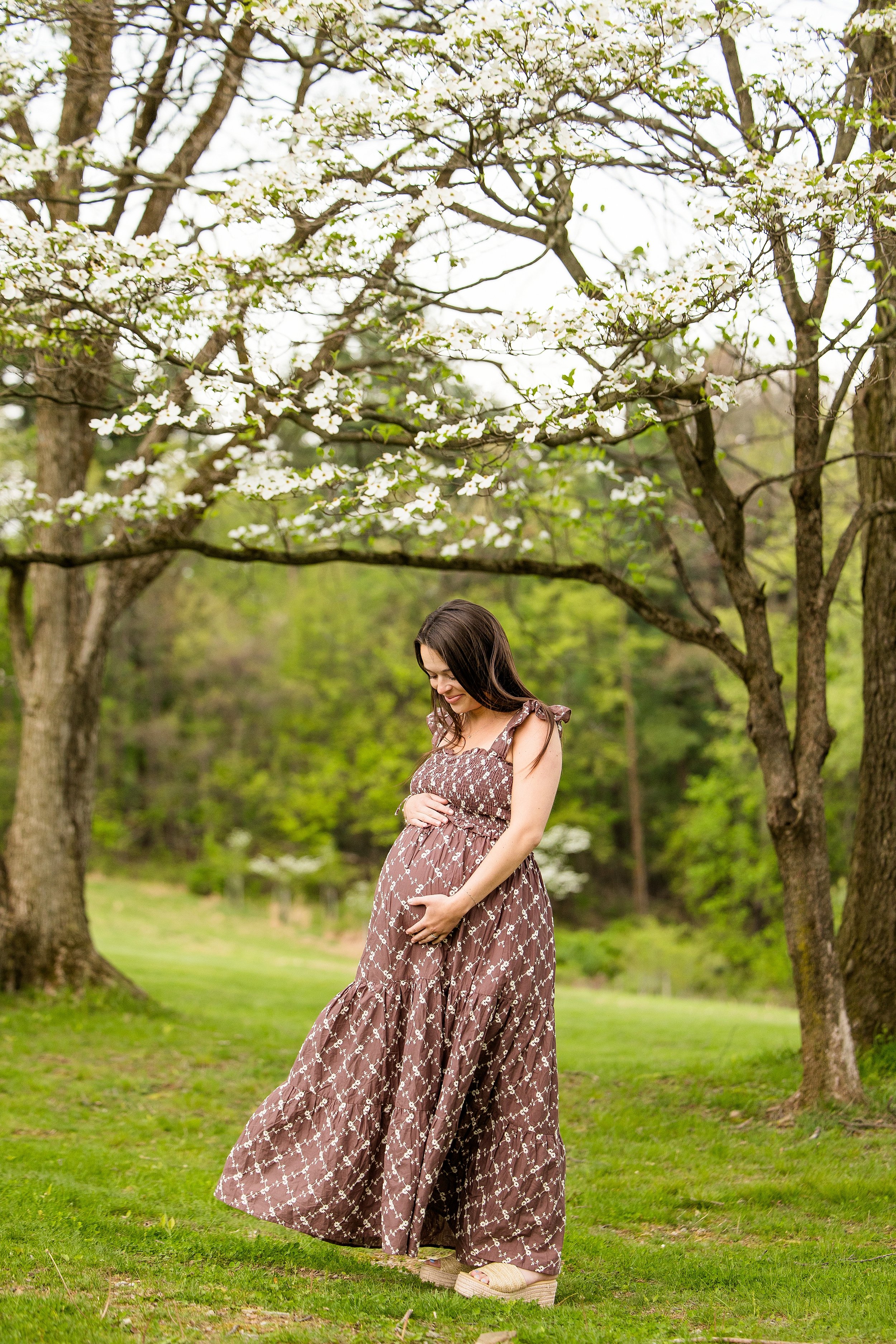 pittsburgh maternity photos, pittsburgh family photographer, hartwood acres maternity pictures, maternity photographer cranberry township