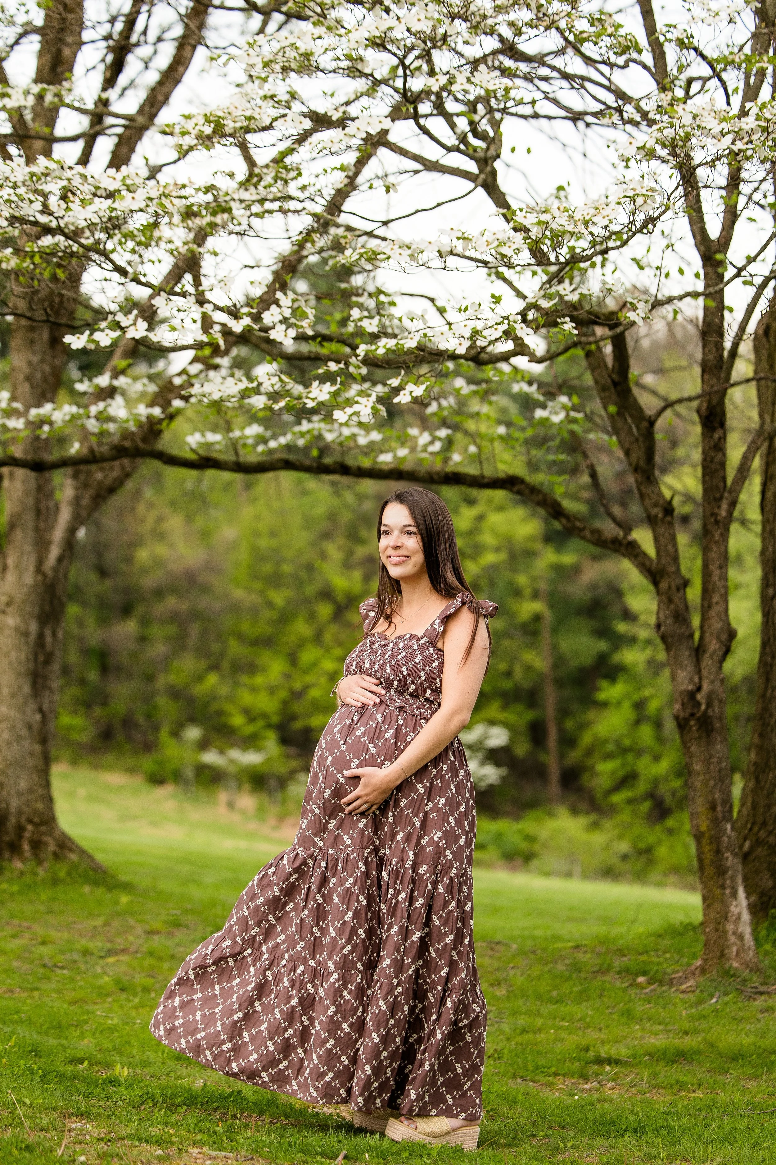 pittsburgh maternity photos, pittsburgh family photographer, hartwood acres maternity pictures, maternity photographer cranberry township