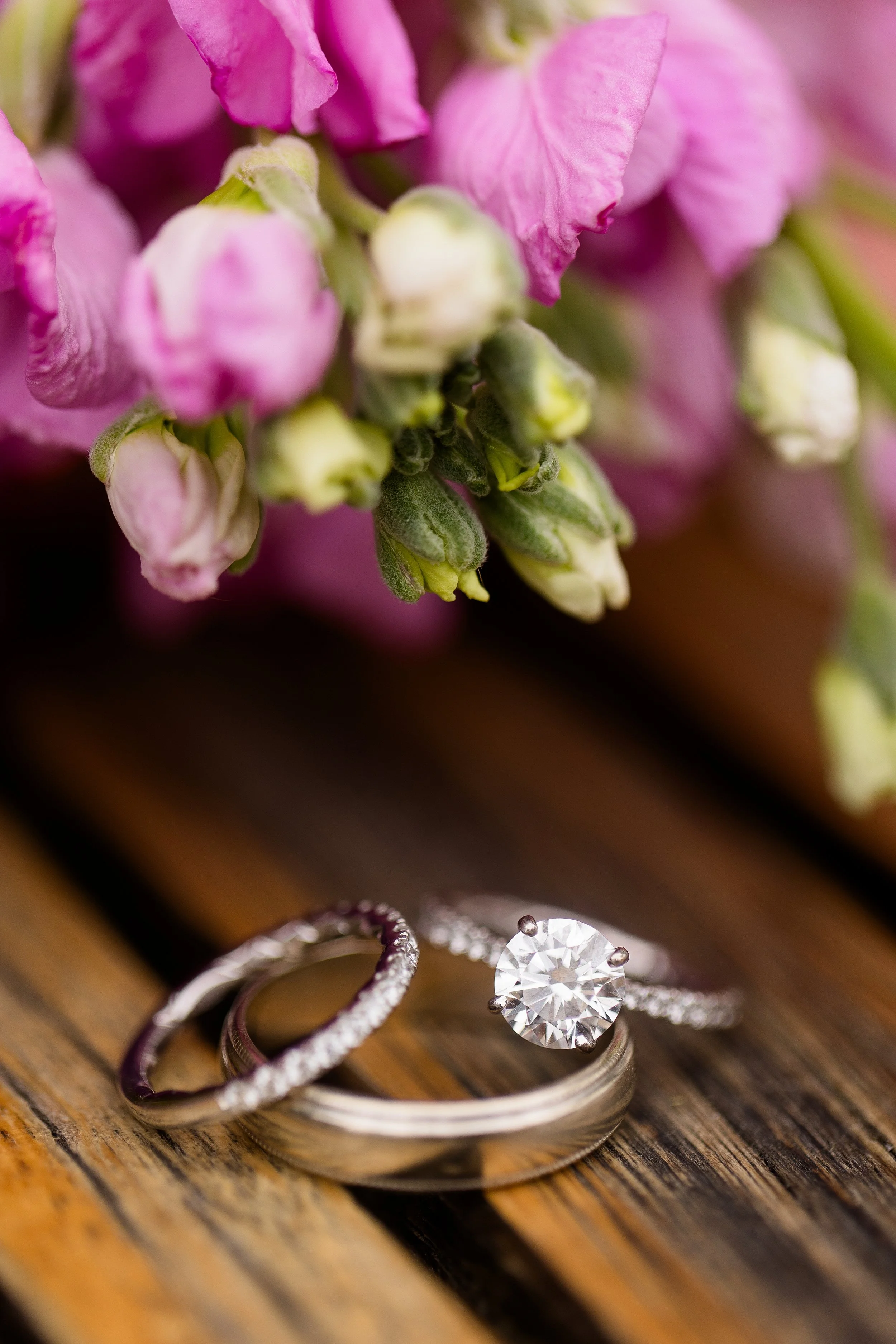 butler county courthouse elopement, butler county courthouse wedding pictures, zelienople wedding pictures, historic harmony wedding photos