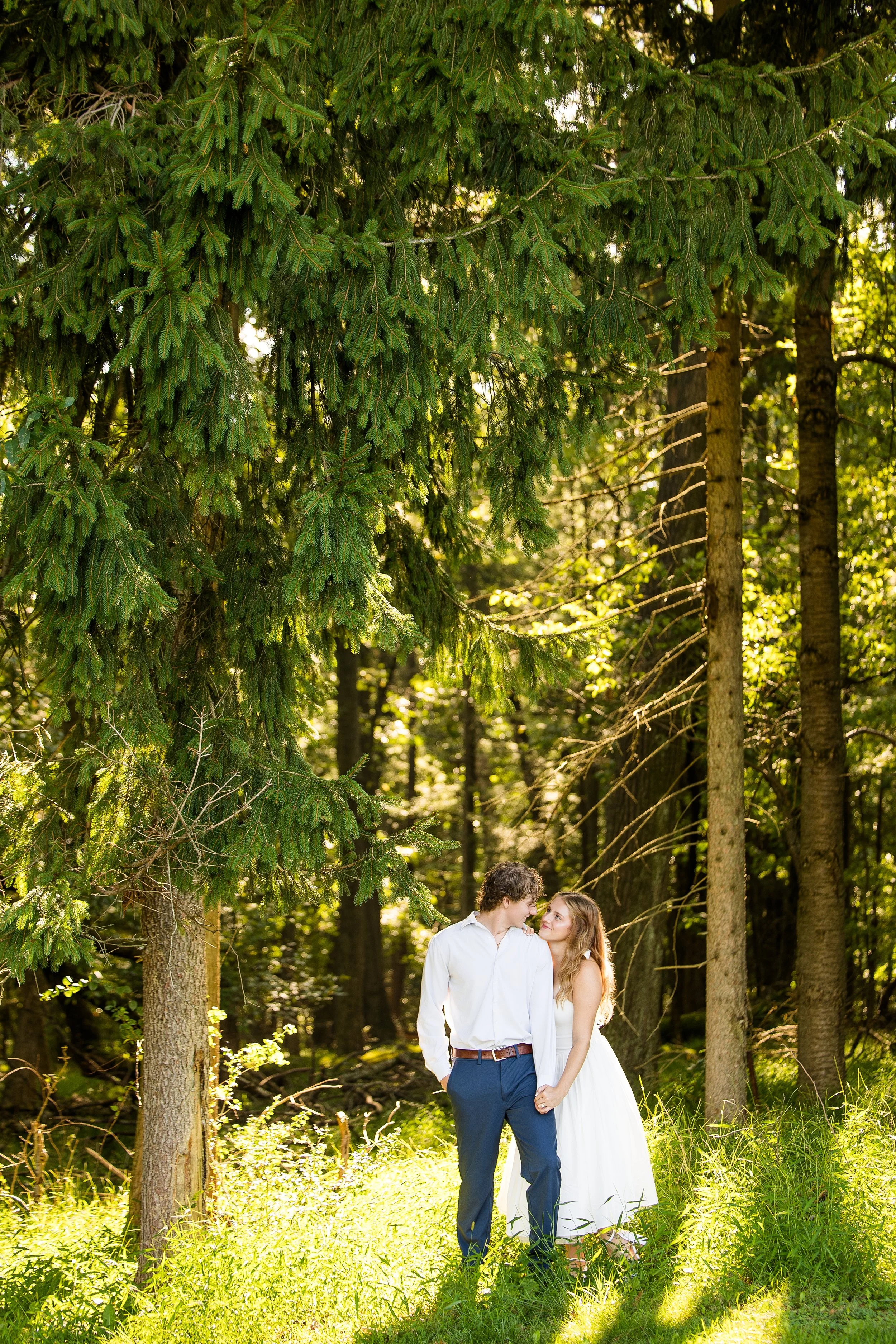 pittsburgh wedding photographer, hartwood acres mansion engagement photos, pittsburgh engagement photographer, pittsburgh proposal photographer