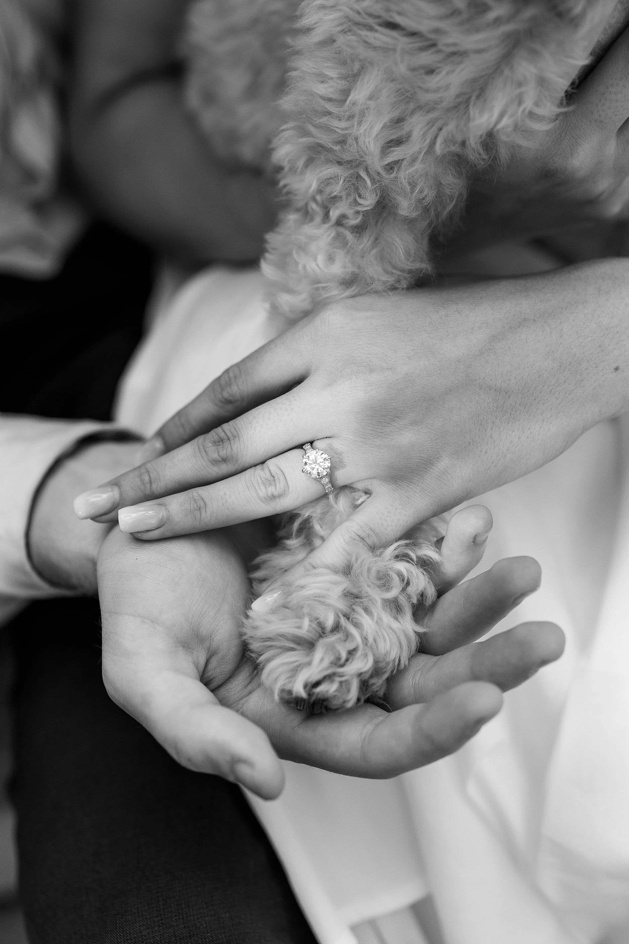 Pittsburgh-Wedding-Photographer-Pittsburgh-Senior-Photographer_3551-1.jpg