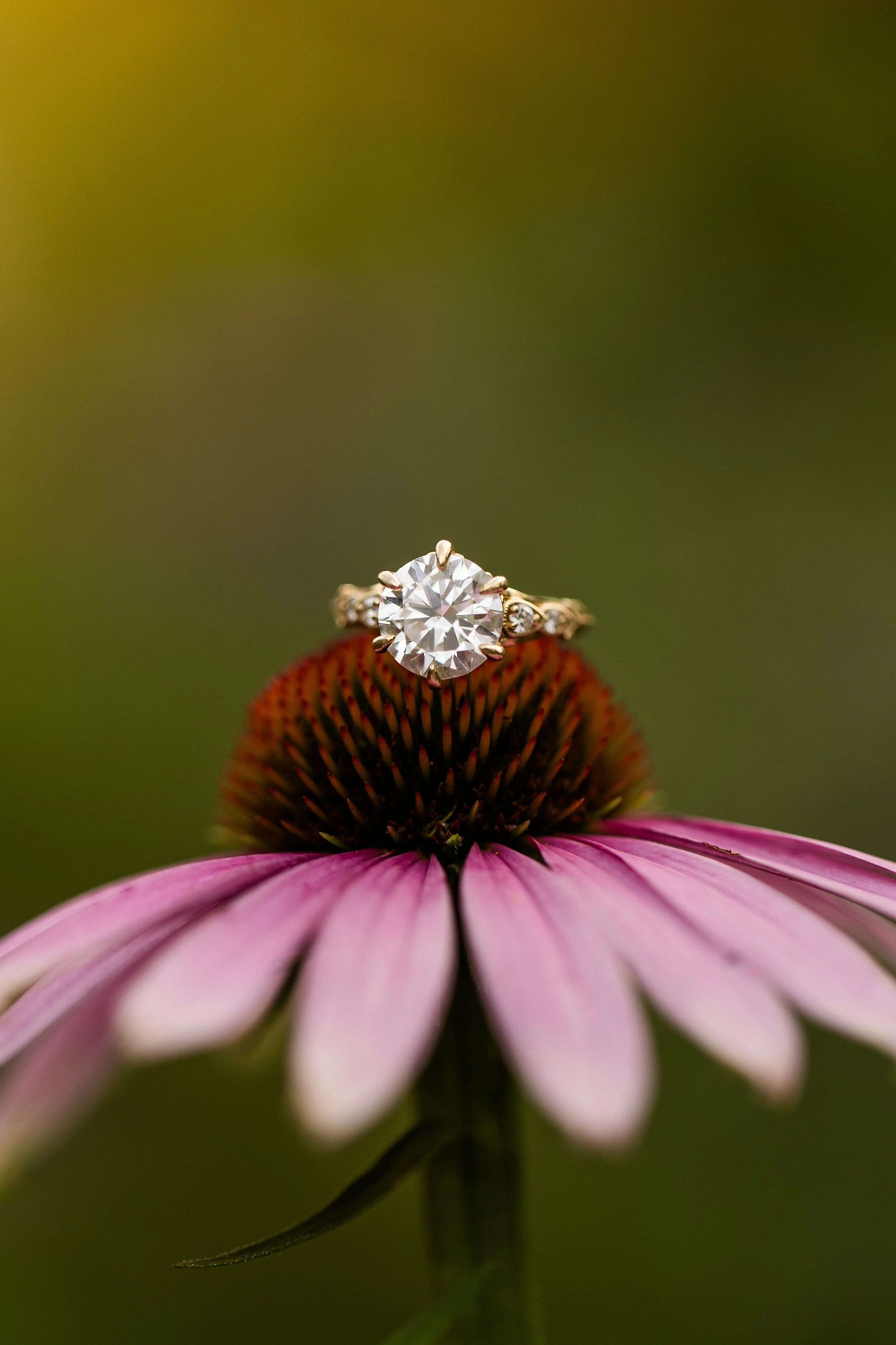 Pittsburgh-Wedding-Photographer-Pittsburgh-Senior-Photographer_3582-1.jpg