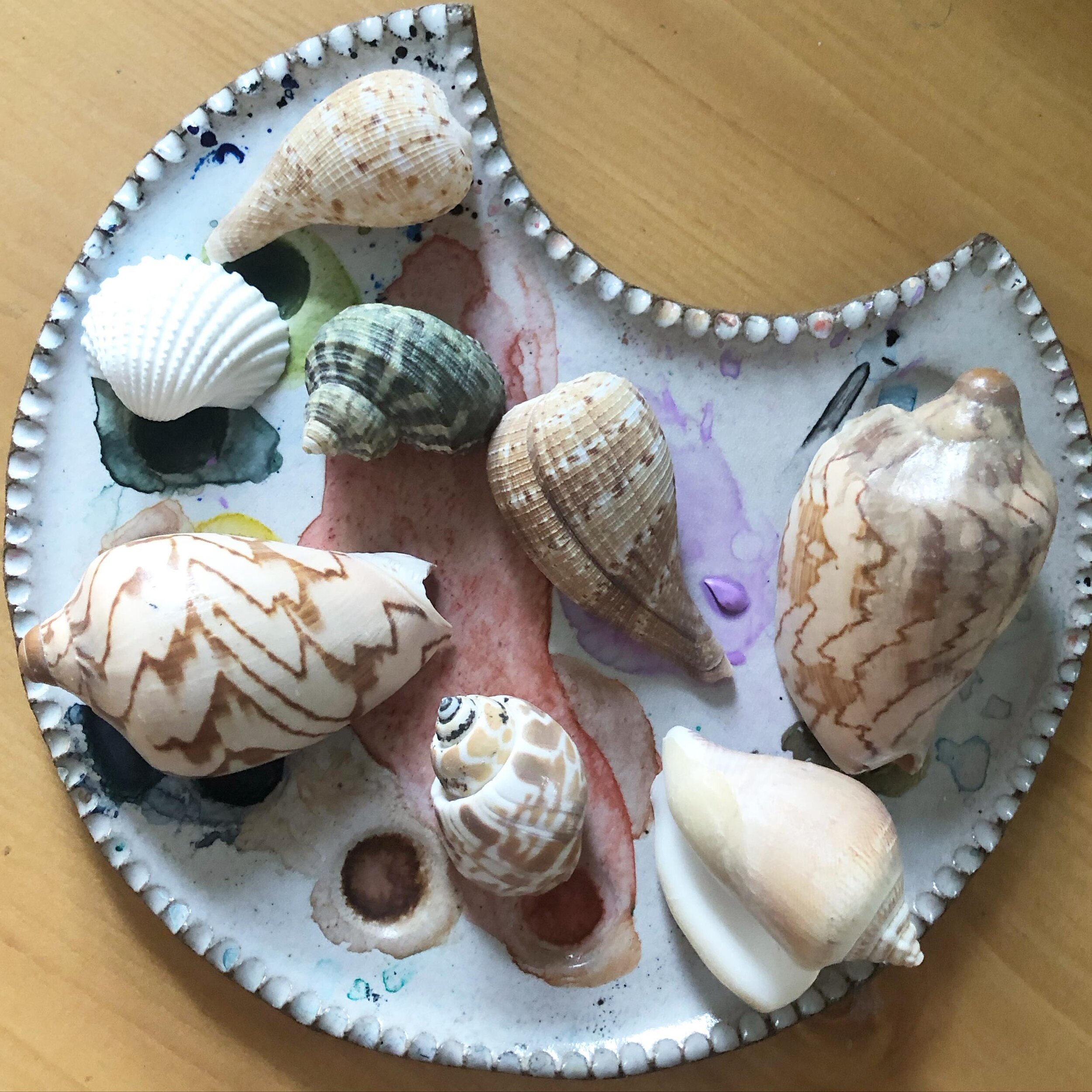 Missing warm sand between my toes and summer freckles. A collection of shells from places visited in the last few years.