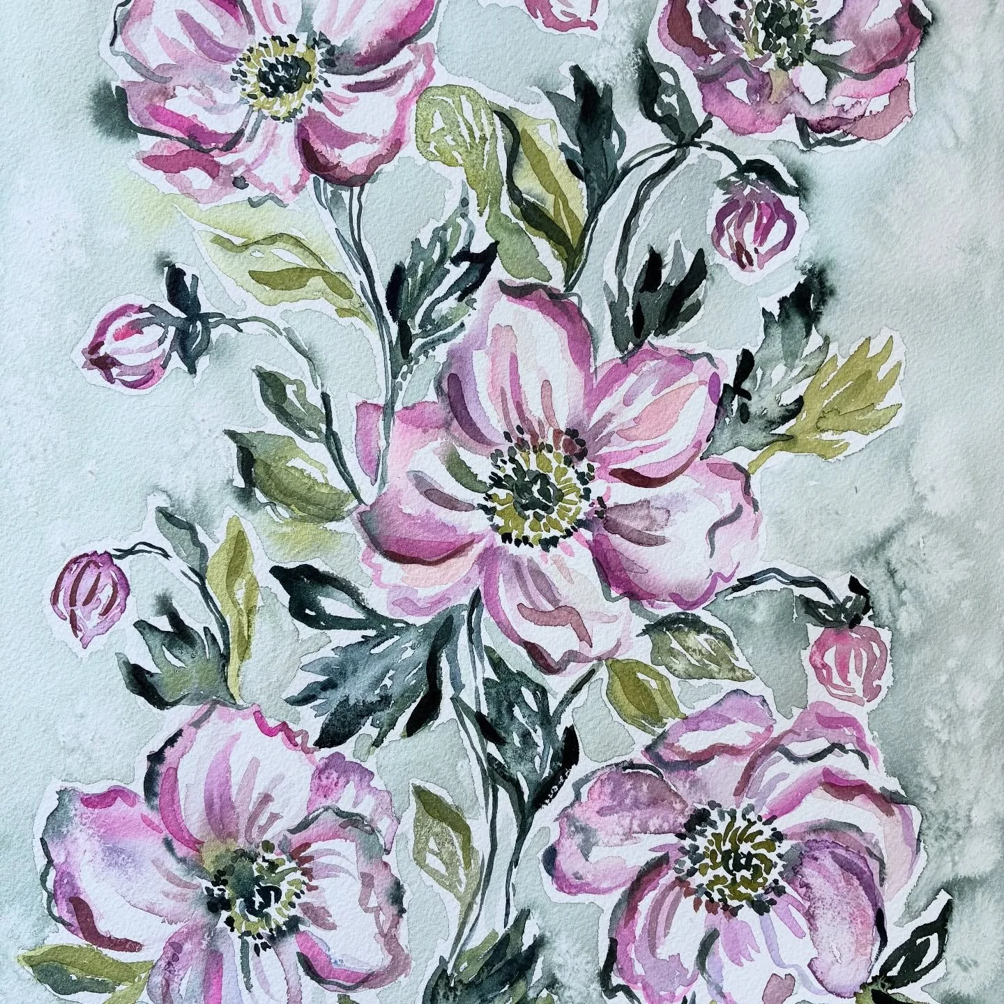 🌸 🌺 🍃 🌸 🌺 🍃