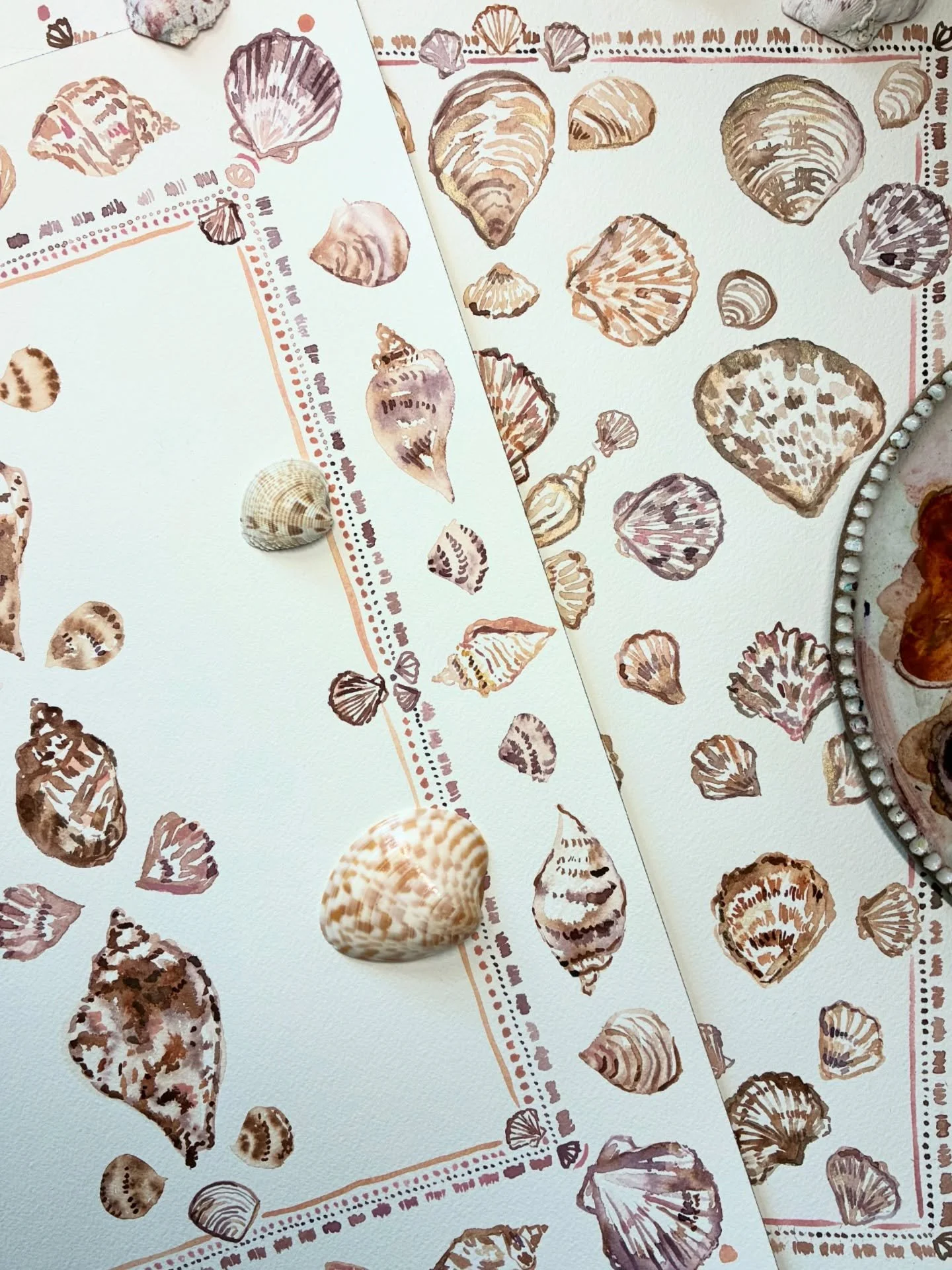 🐚🐚🐚 in progress 🐚🐚🐚