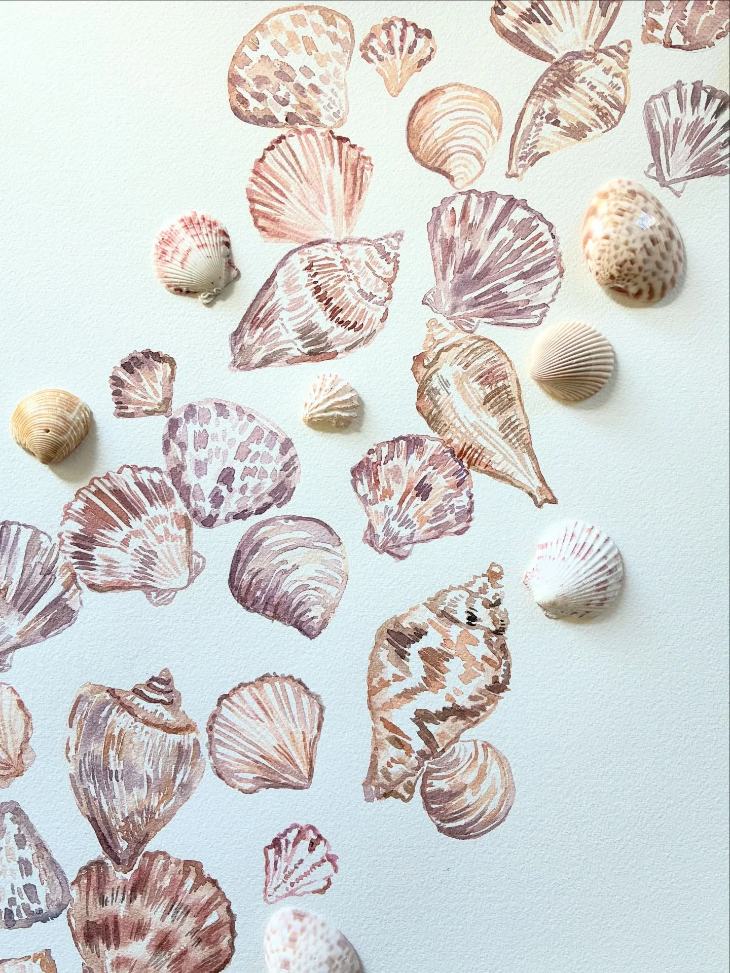 Bringing all the 🐚 to my Spring markets for the perfect beach house decor ✨