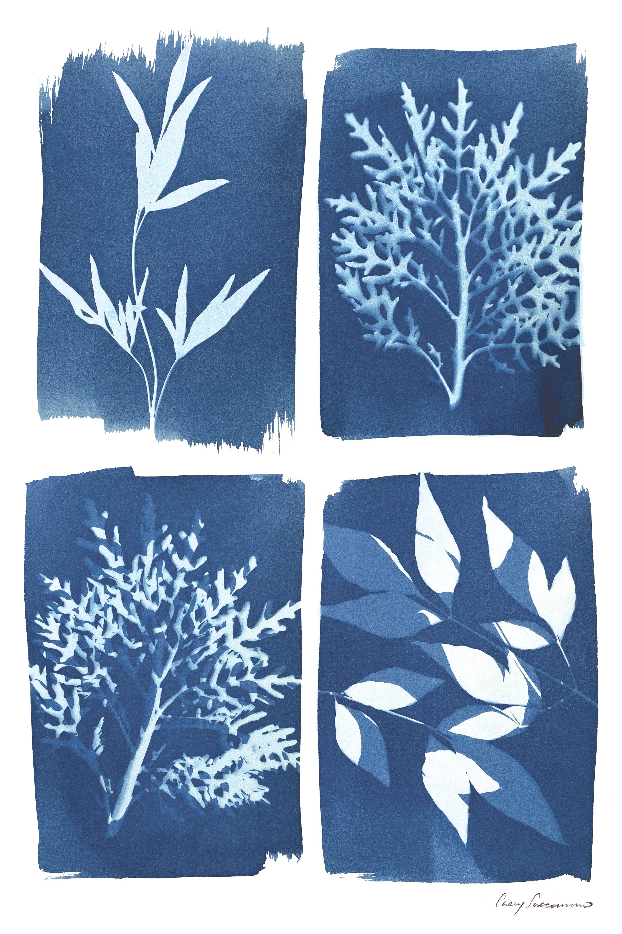 Cyanotype Grid Print updated.jpg