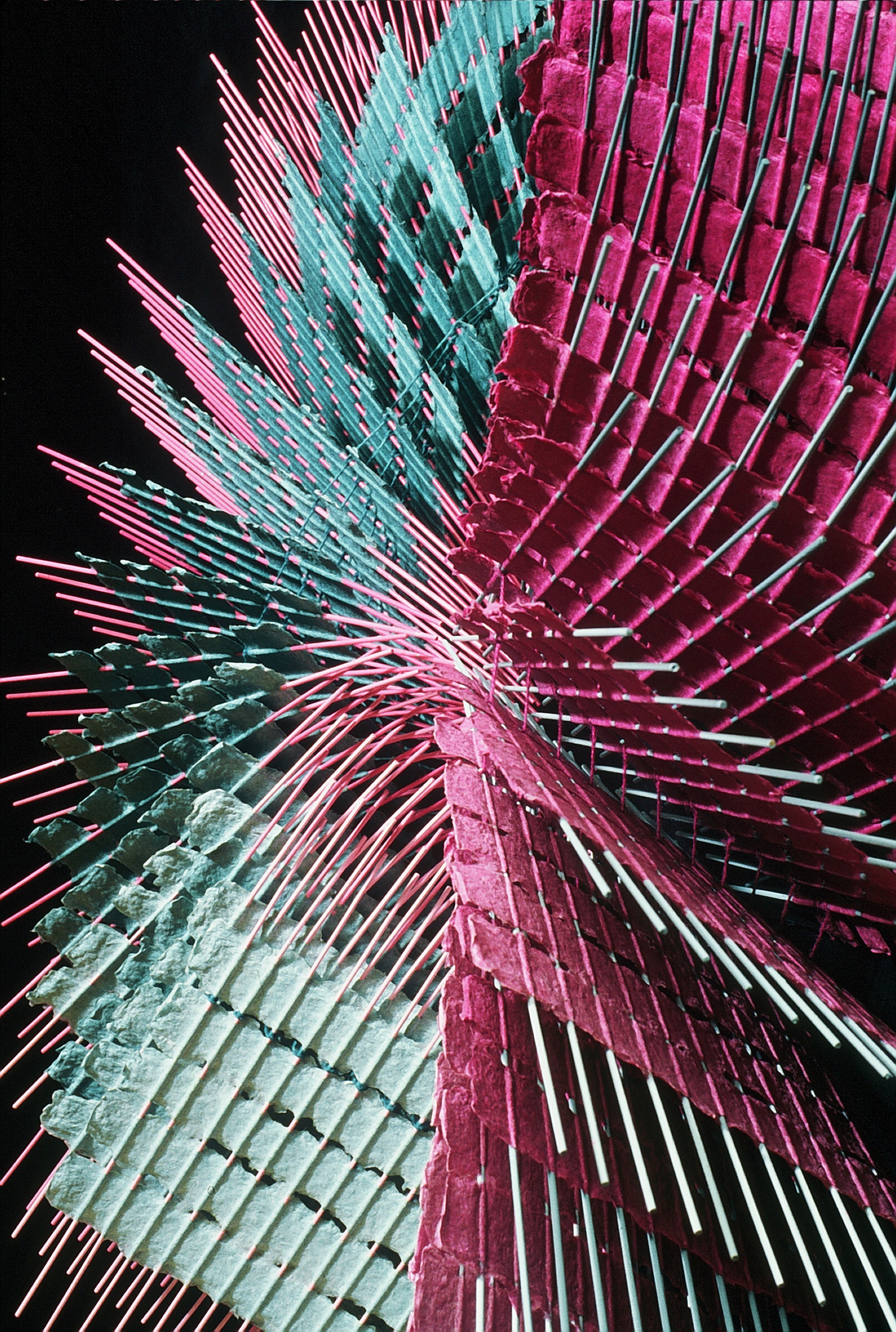 Flight - Detail