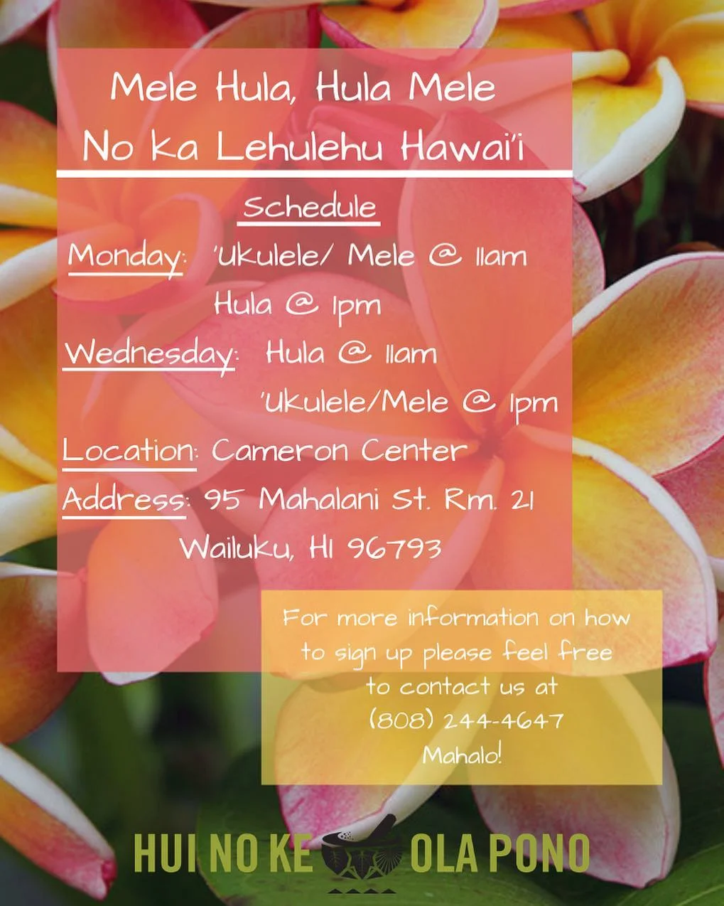 Mele Hula, Hula Mele Flyer.jpg