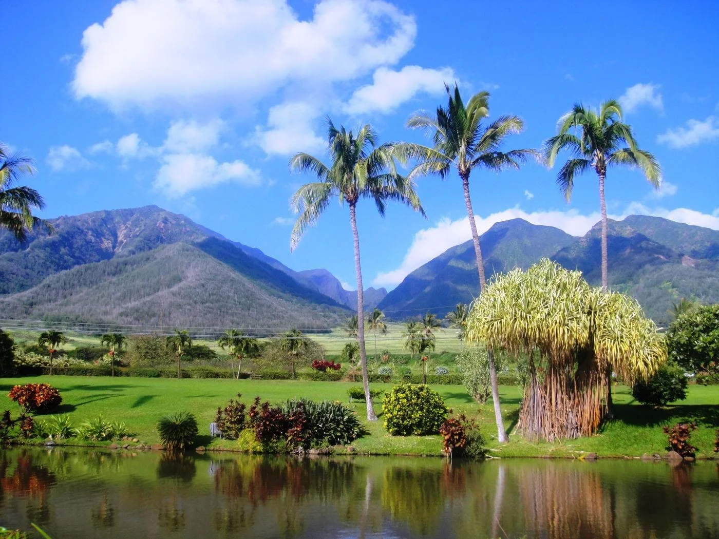 iao-valley-and-maui-tropical-plantation-maui-kahului-hi-1.jpg