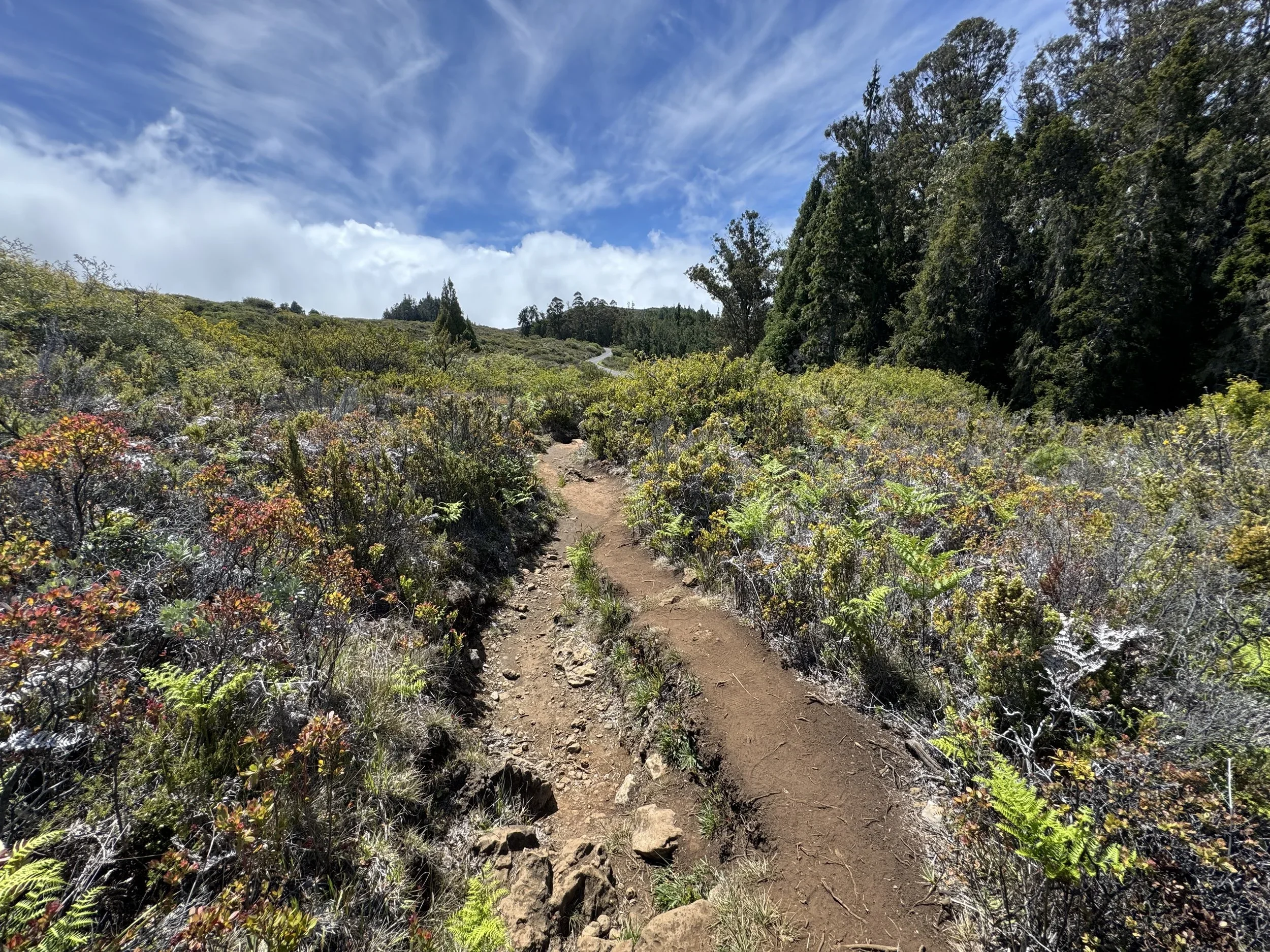 Maui Cancer Resources: Hikes for Healing