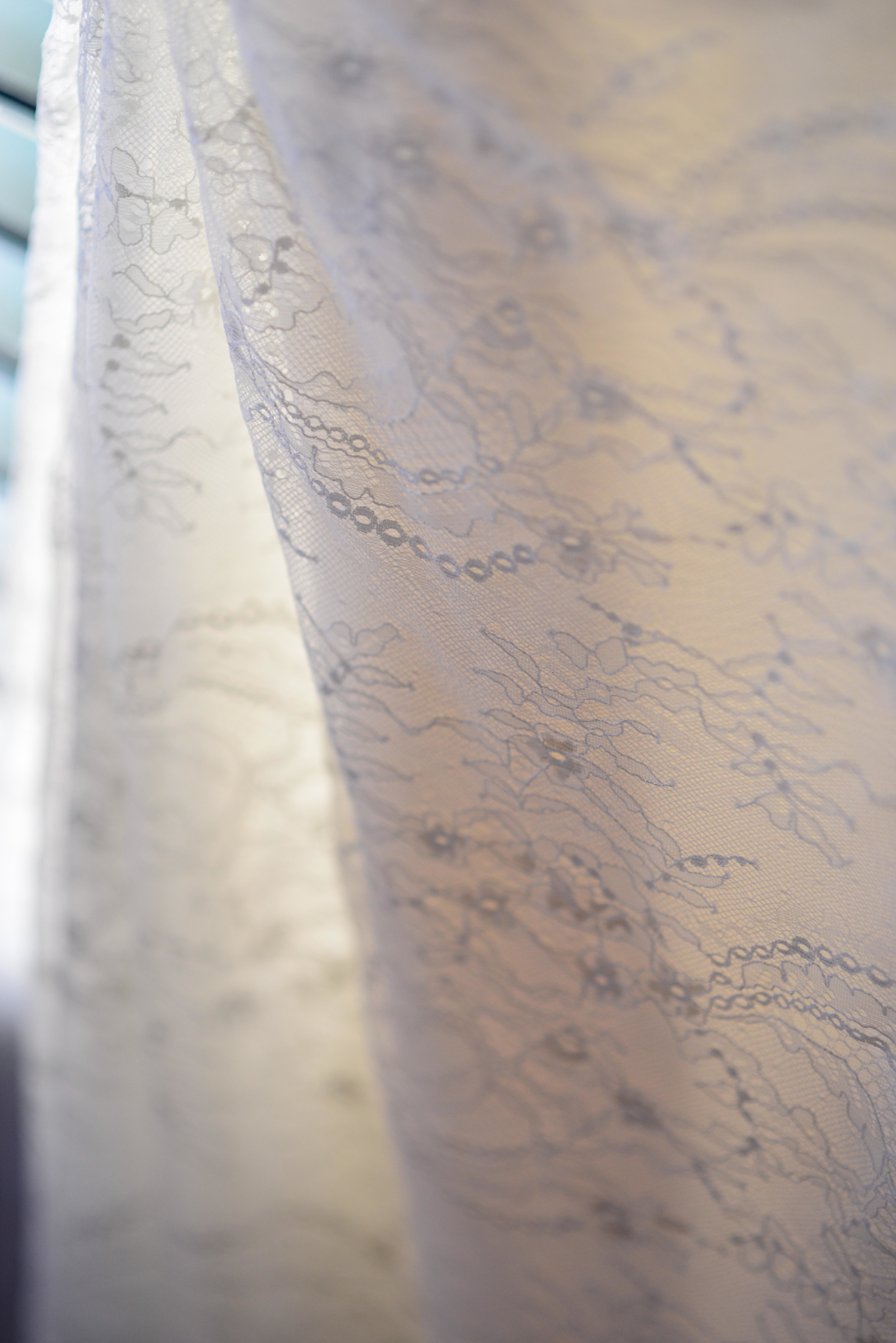 Ivory Lace Detailing on Sarah's Vera Wang wedding gown.