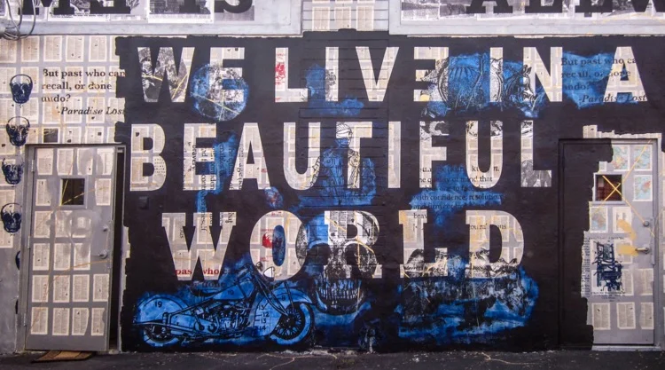 We live in a Beautiful World
