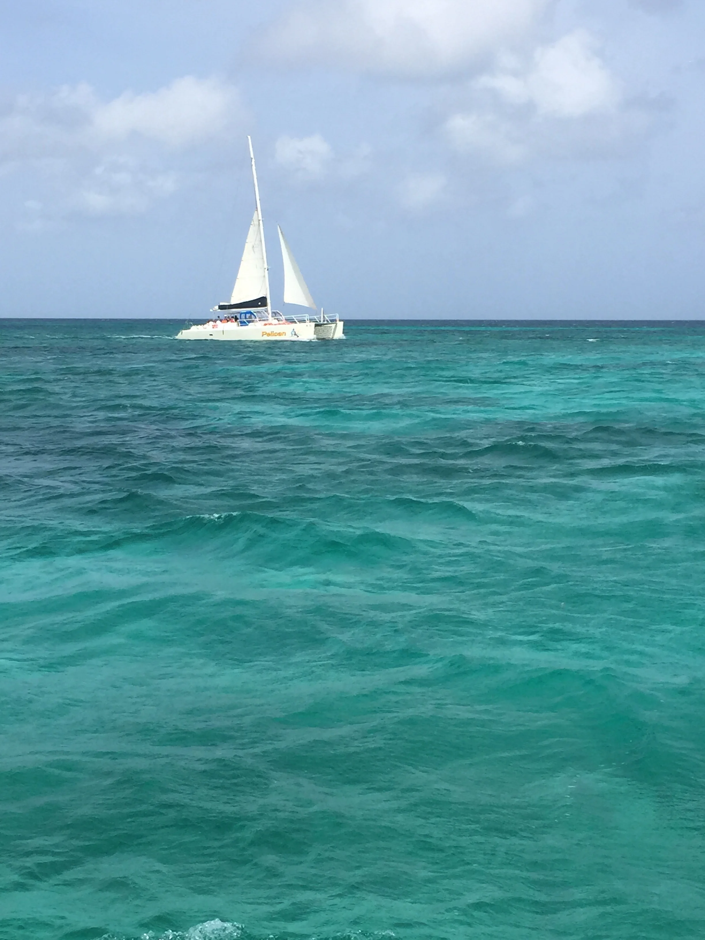 Always always ride a sailboat when you are near the ocean!