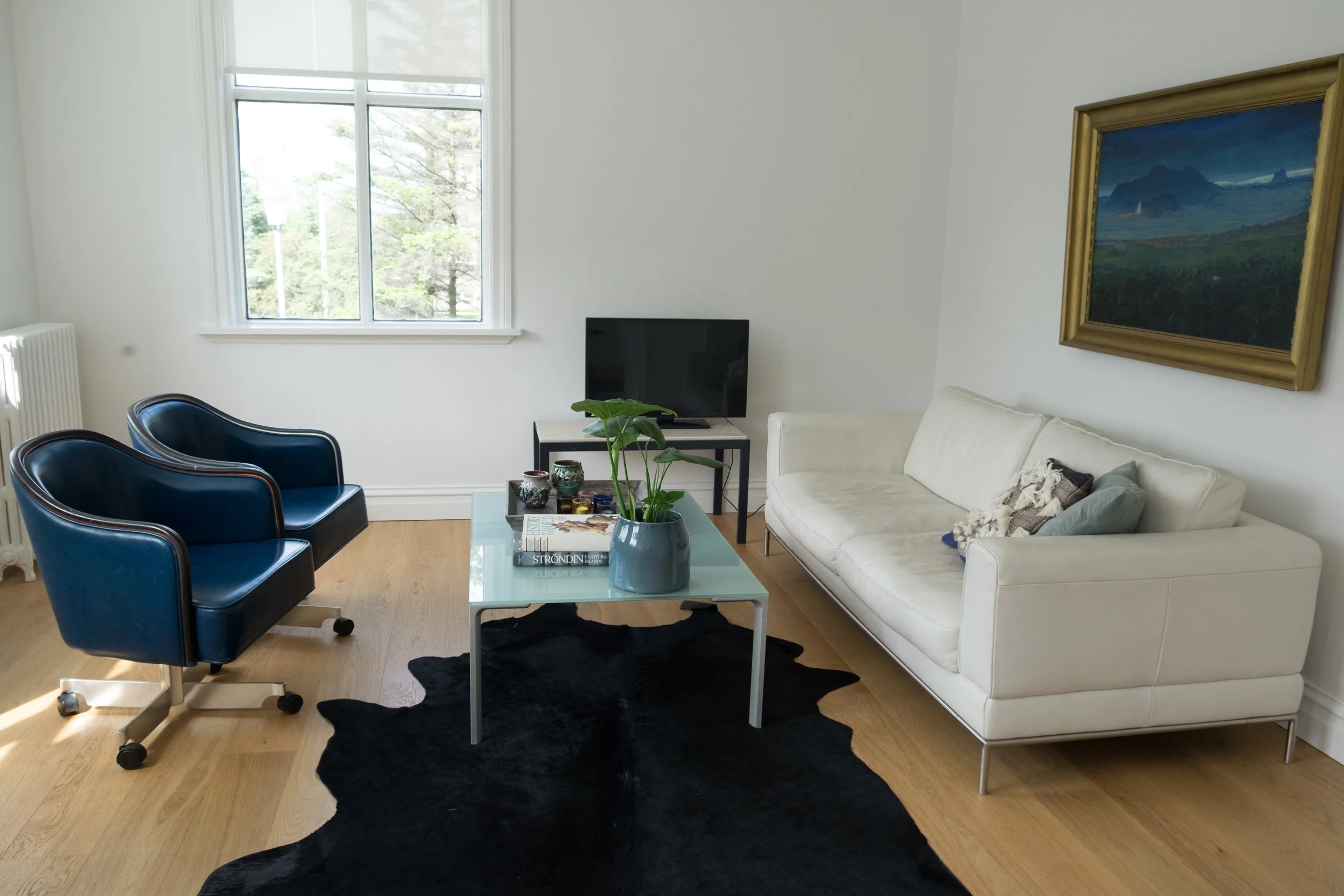 Our Air BnB was AMAZING! Three bedroom within walking distance to everything downtown reykjavik! We often ask the owners directly for discounts if we are traveling last minute, they often would rather let it go for less than just sit there empty.