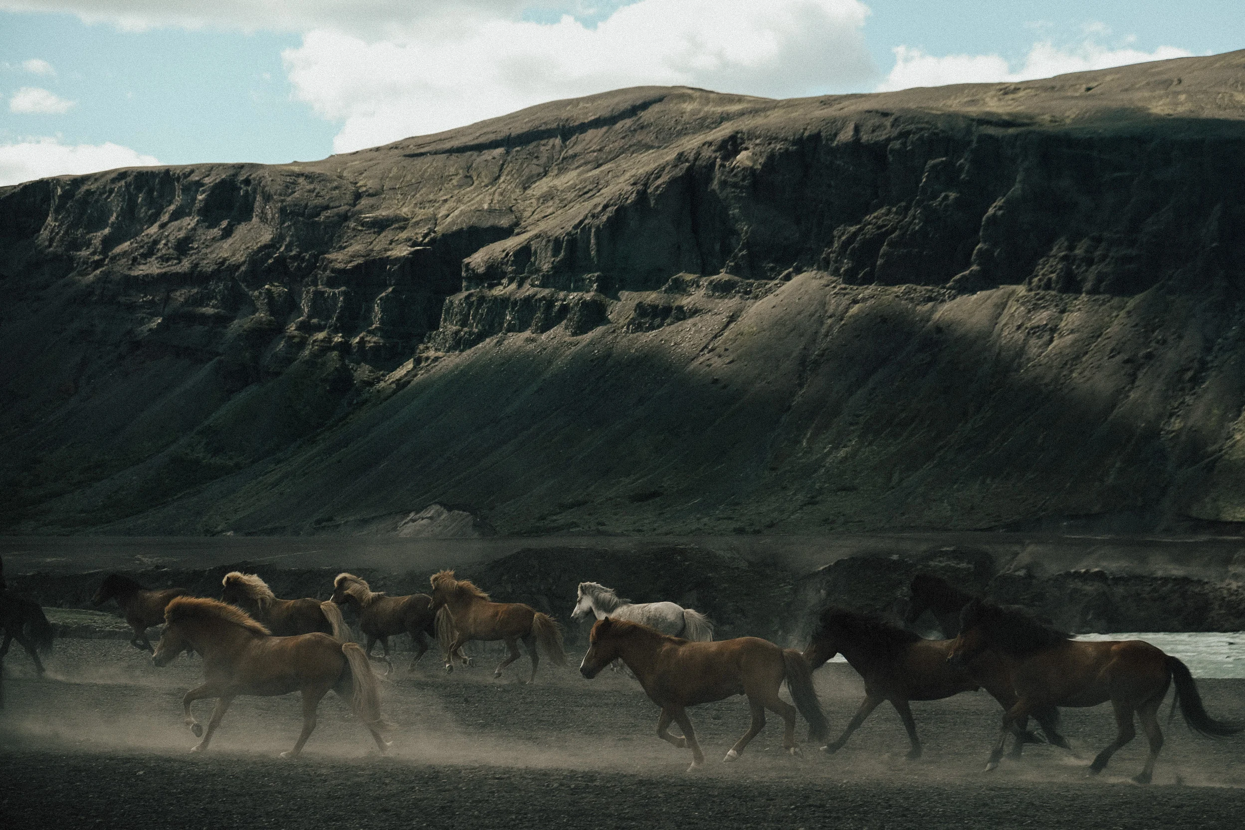 Found some the herds of the Icelandic pony's inland a bit on the south side of the island.