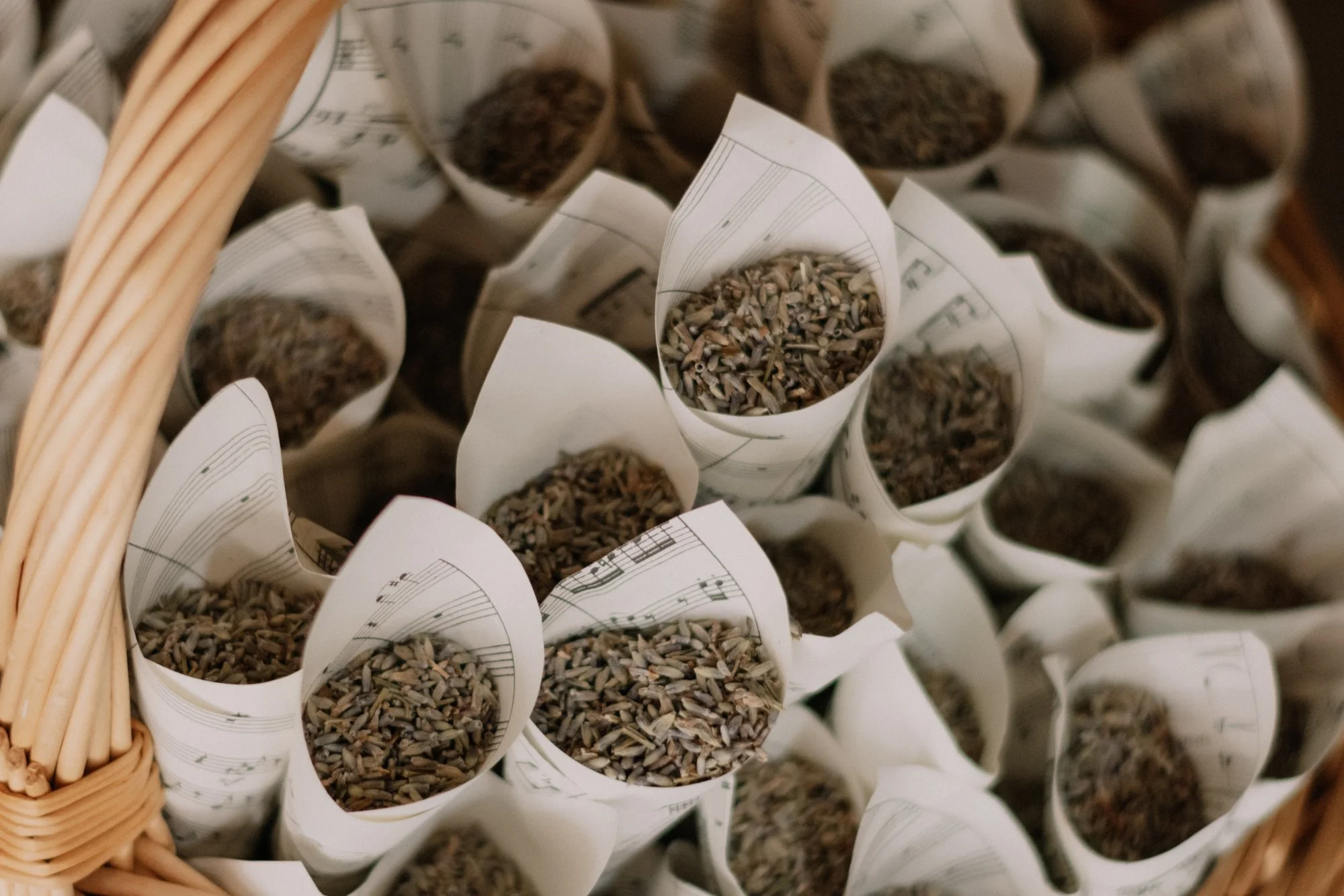 Asheville Boutique Wedding Venue