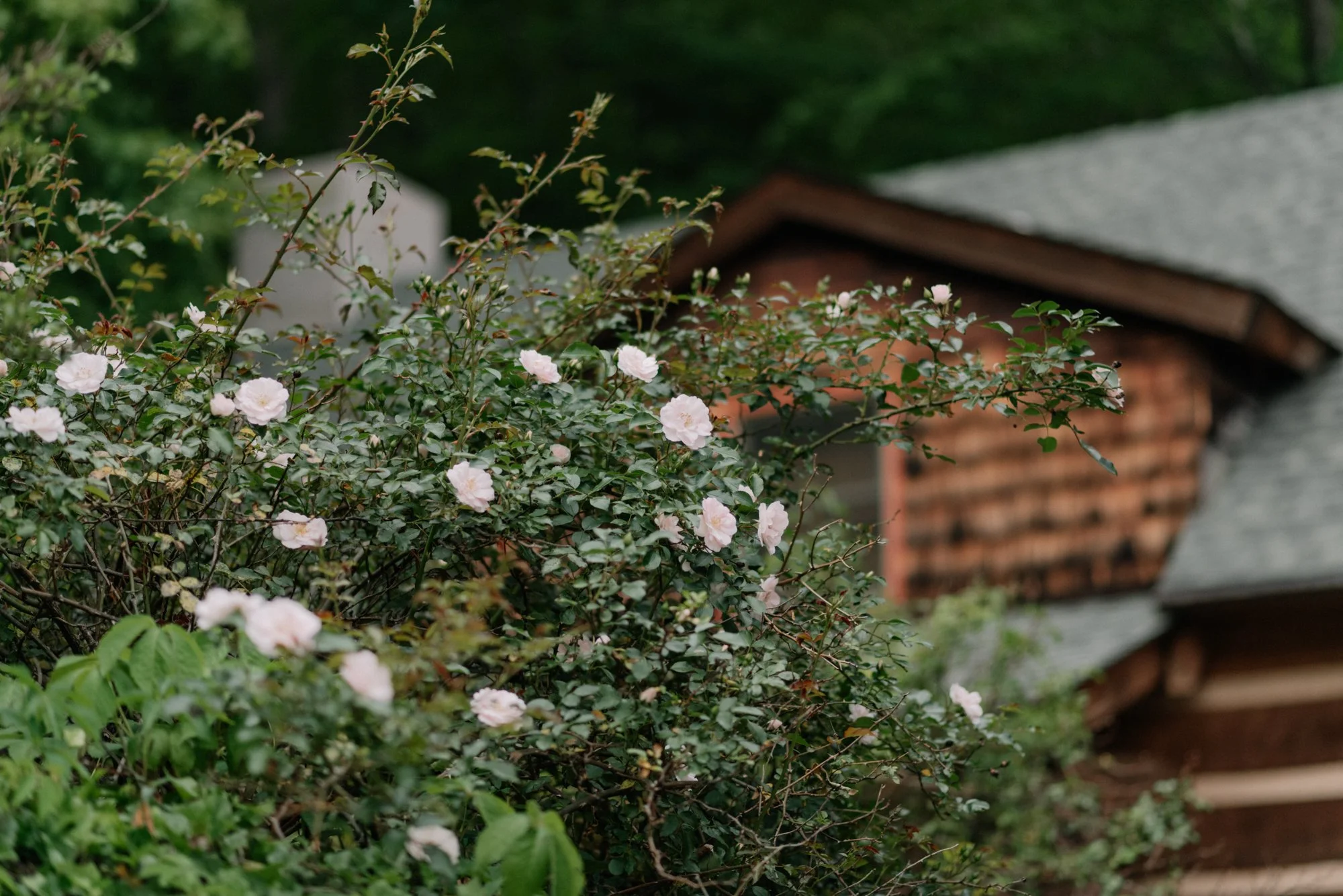 Asheville Boutique Wedding Venue