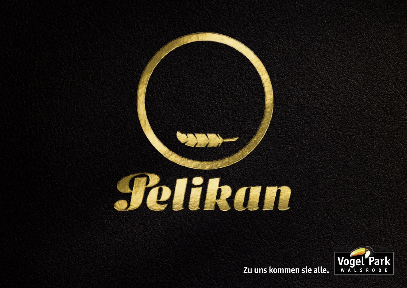 Vogelpark_Pelikan.jpg