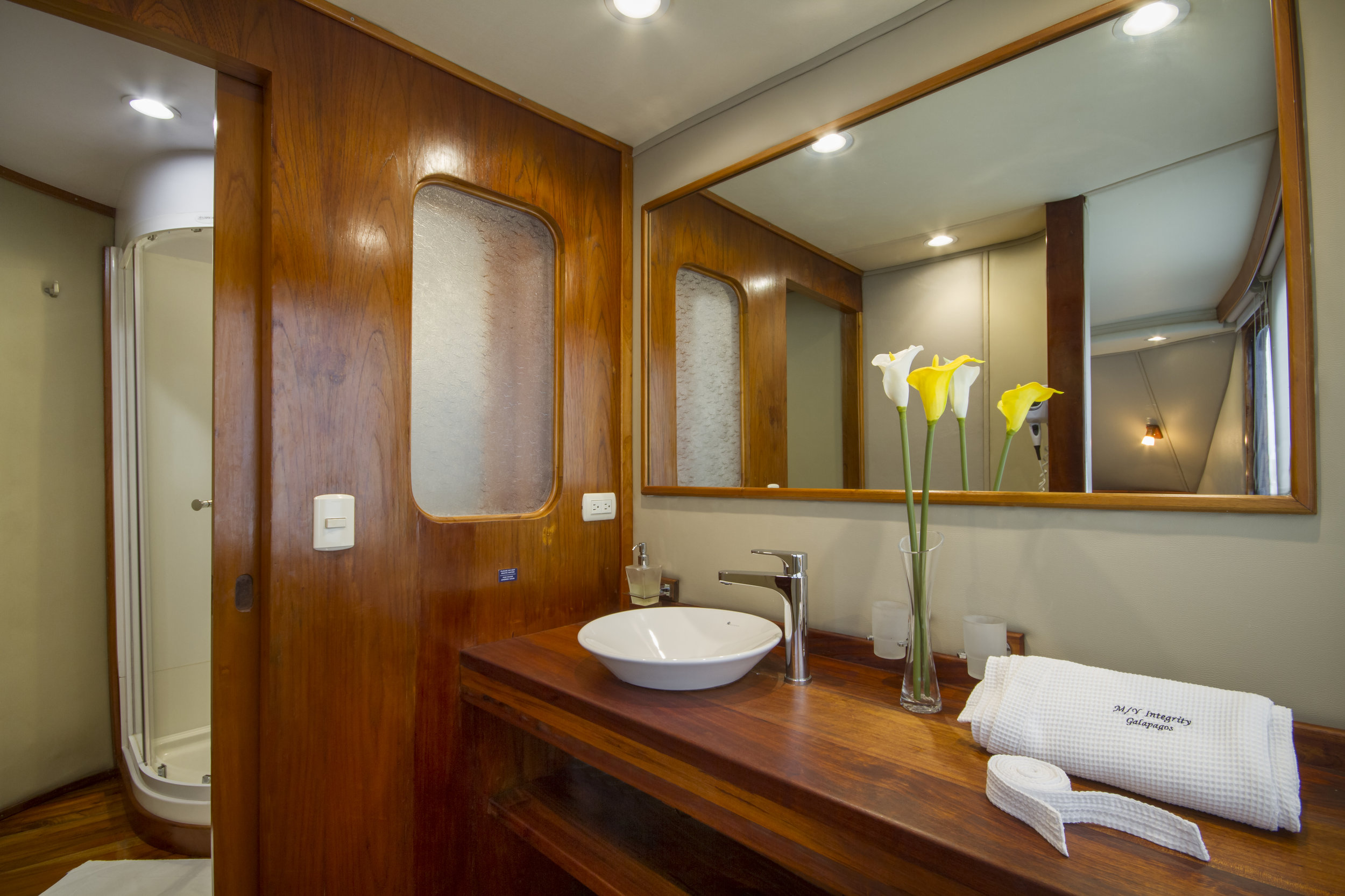 Stateroom 01 Owner's Suite bathroom.jpg