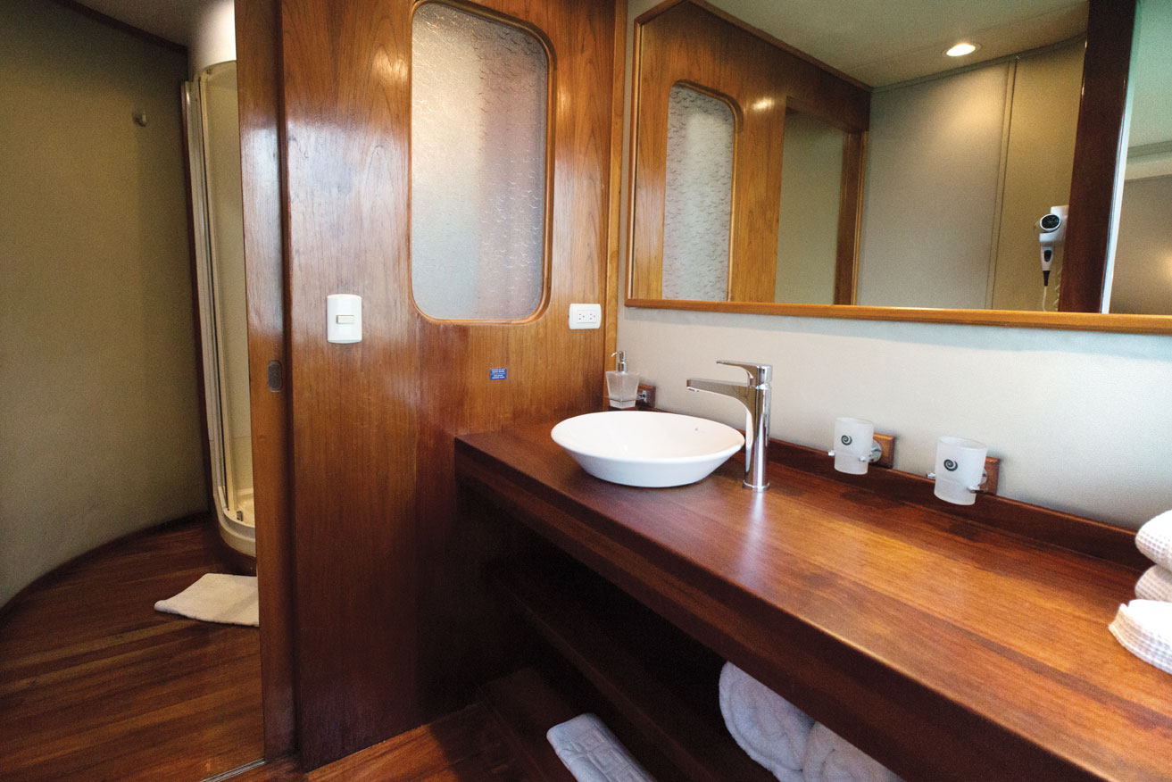 Owners-Suite-Bath-INTEGRITY-0143-RGB.jpg