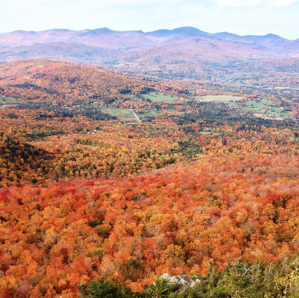 Screen Shot 2016-10-30 at 5.22.25 PM.png