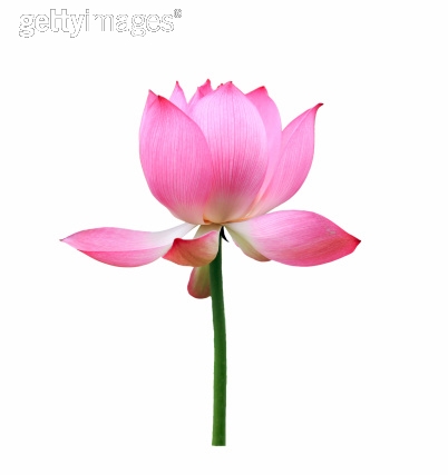 Photo by moleandflower/iStock / Getty Images