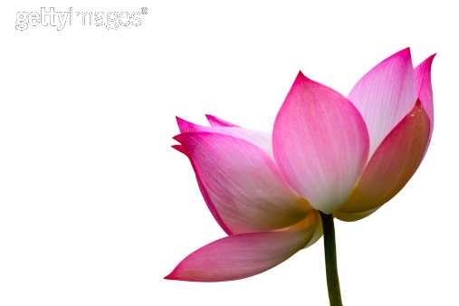 Photo by phrommarin/iStock / Getty Images