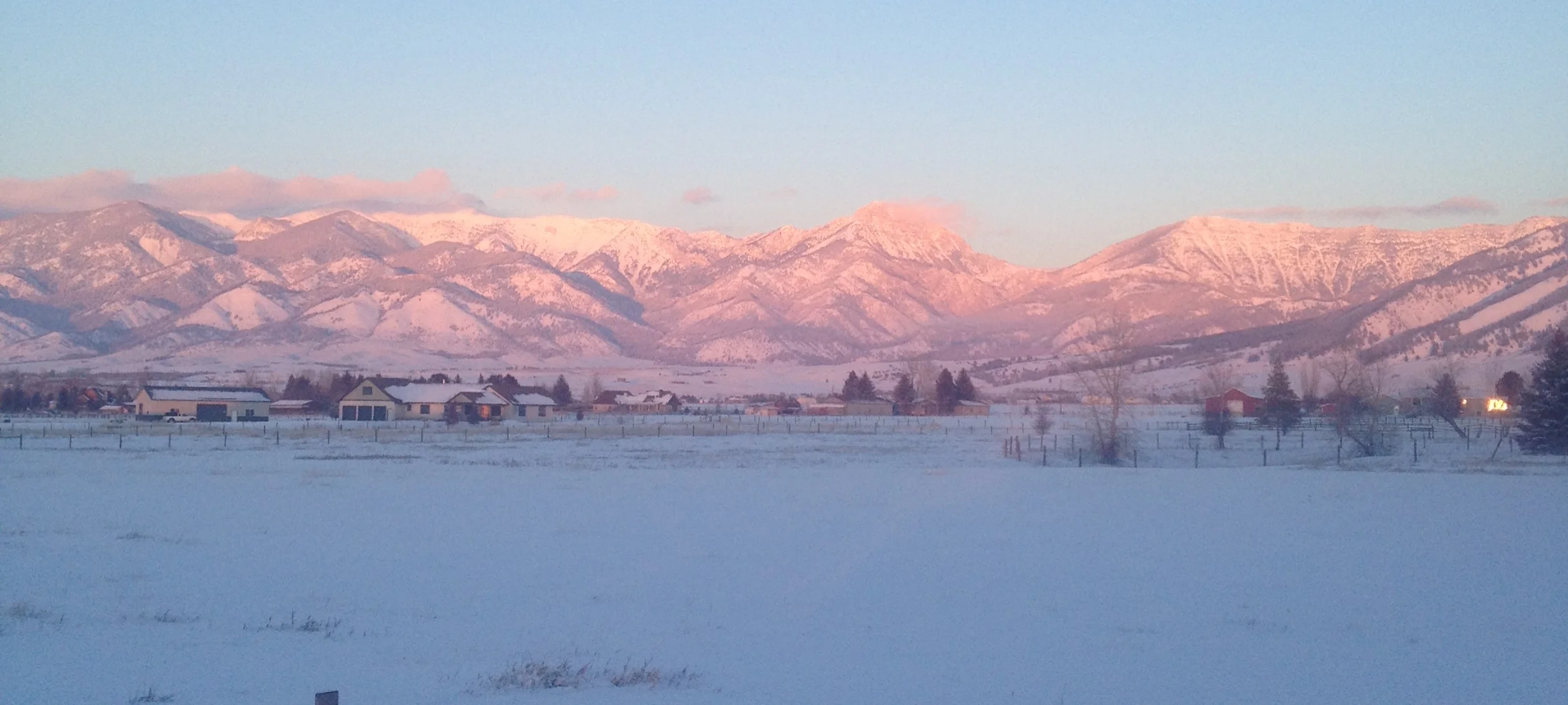 Bear Paw Landscapes & Sprinklers