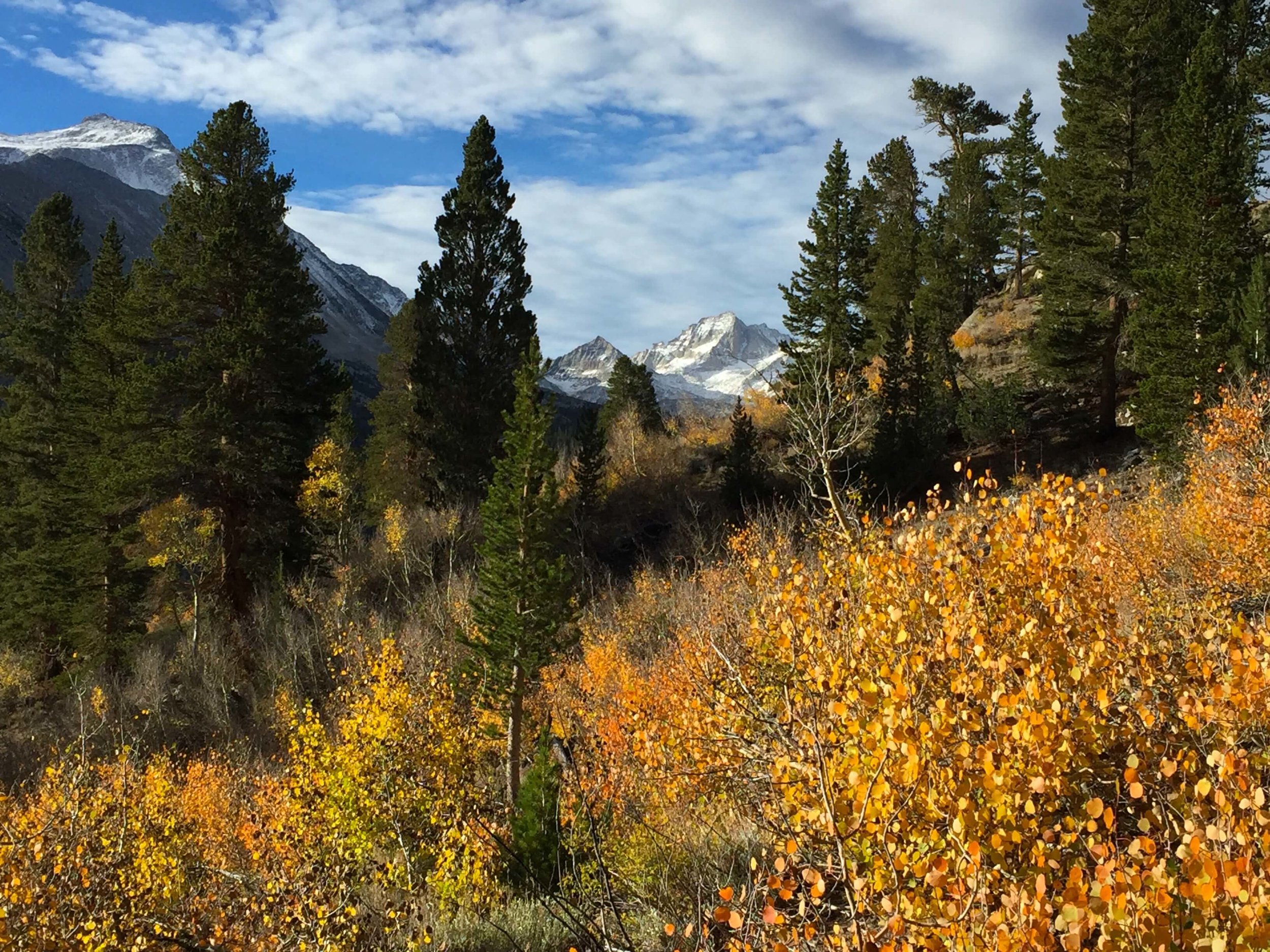 Fall colors along the Hilton Trail.