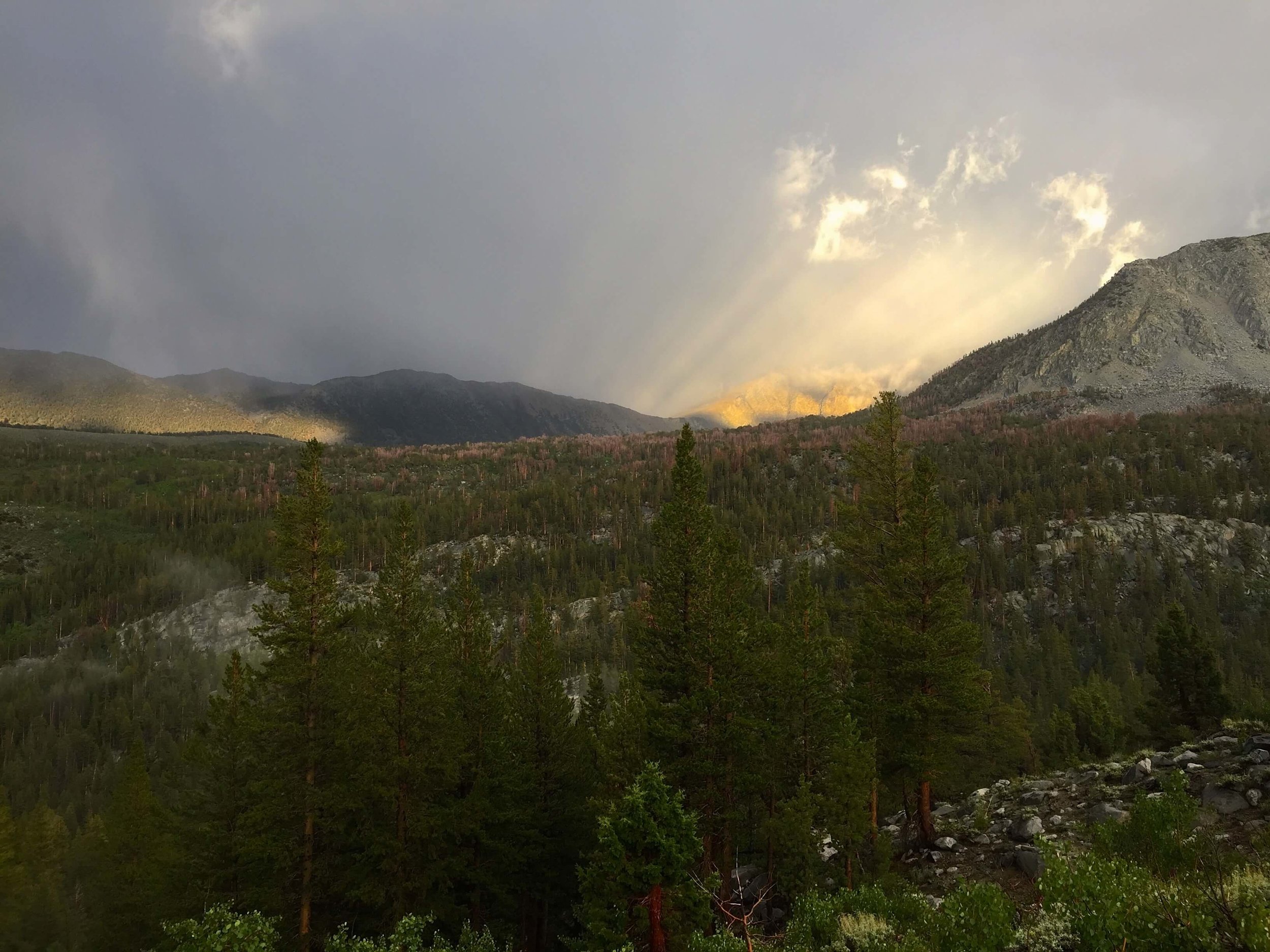 Evening rain storms from the Hilton Trail. 