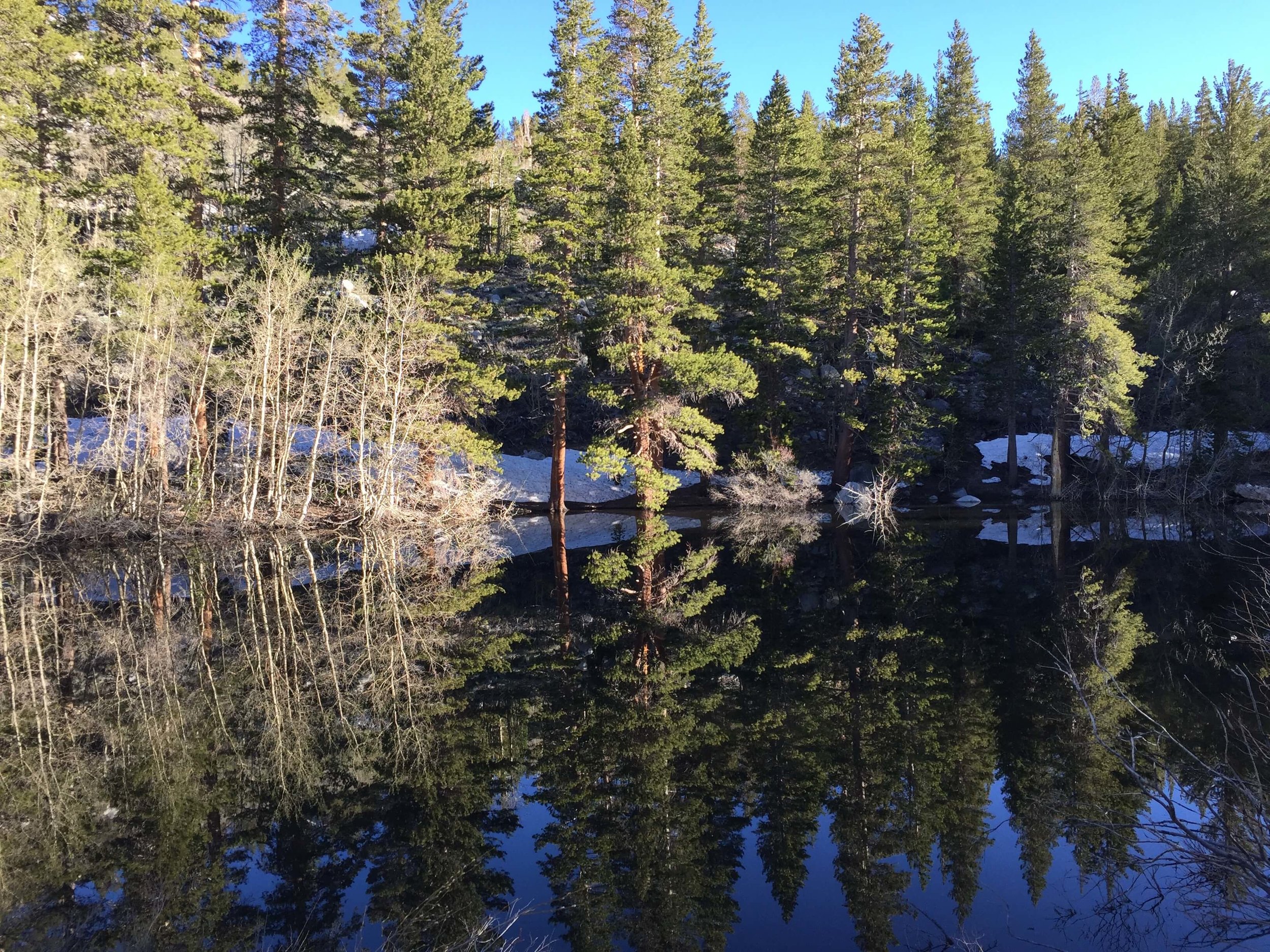 Small overflow pond above the boat docks. 