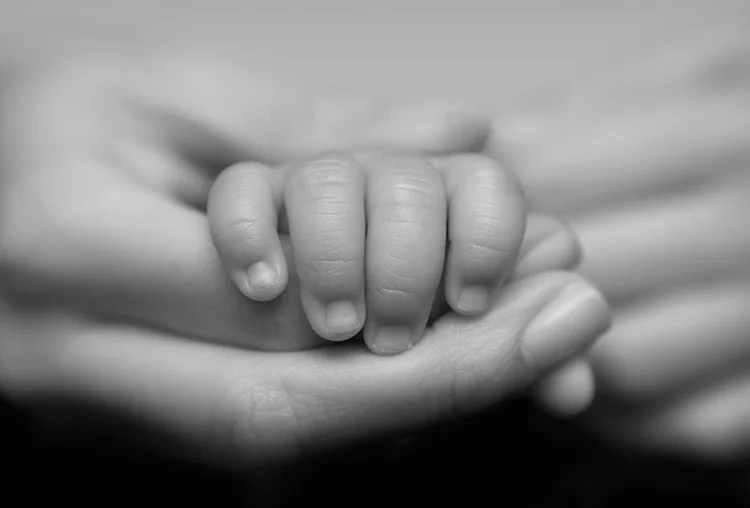 adoption_image.jpg