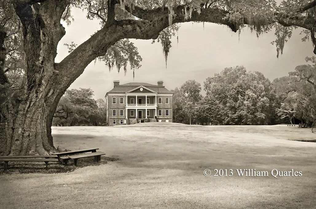 Plantation.jpg