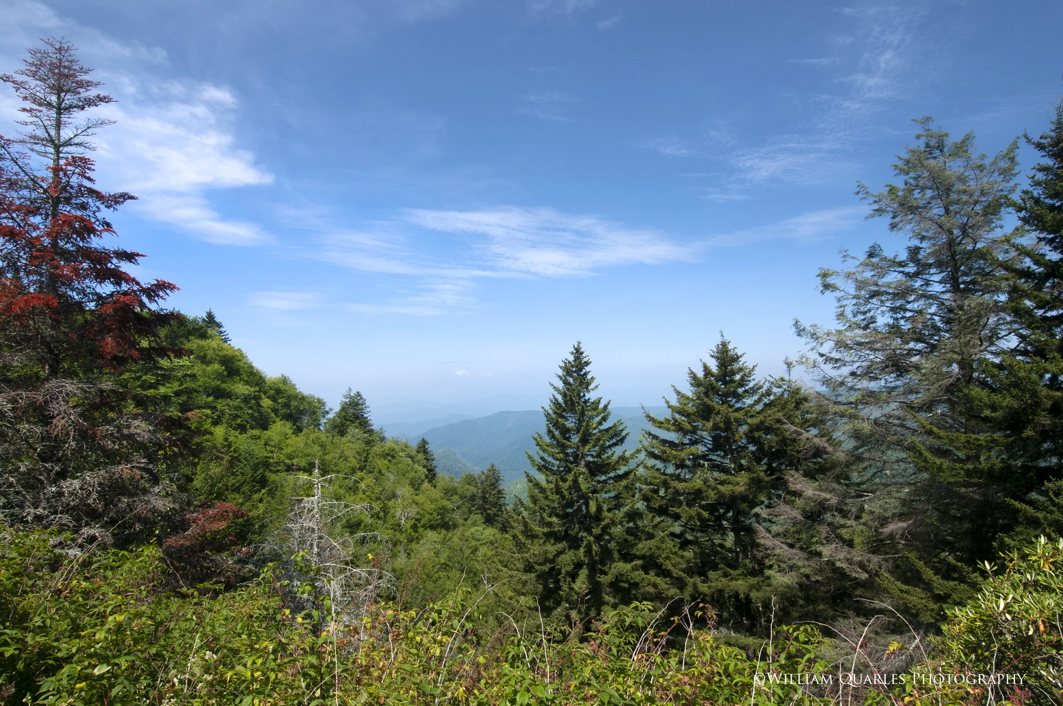BlueRidge3182.jpg