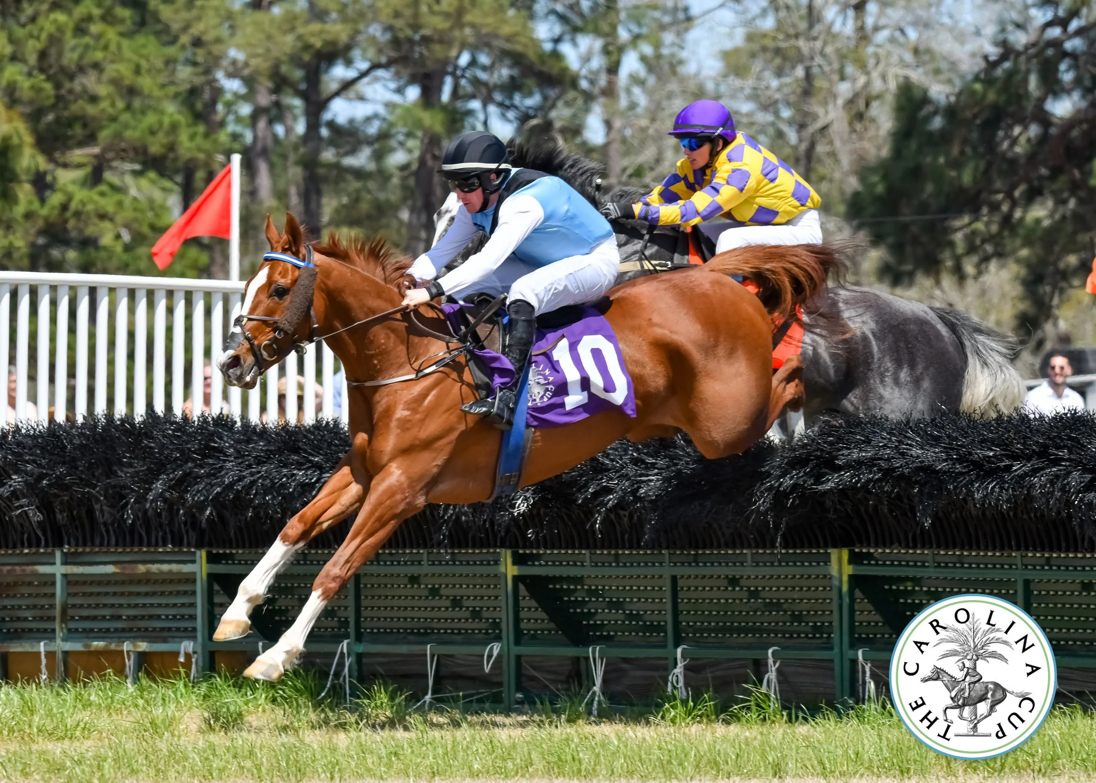 Wm.Quarles.Steeplechase2022-6491 copy.jpg