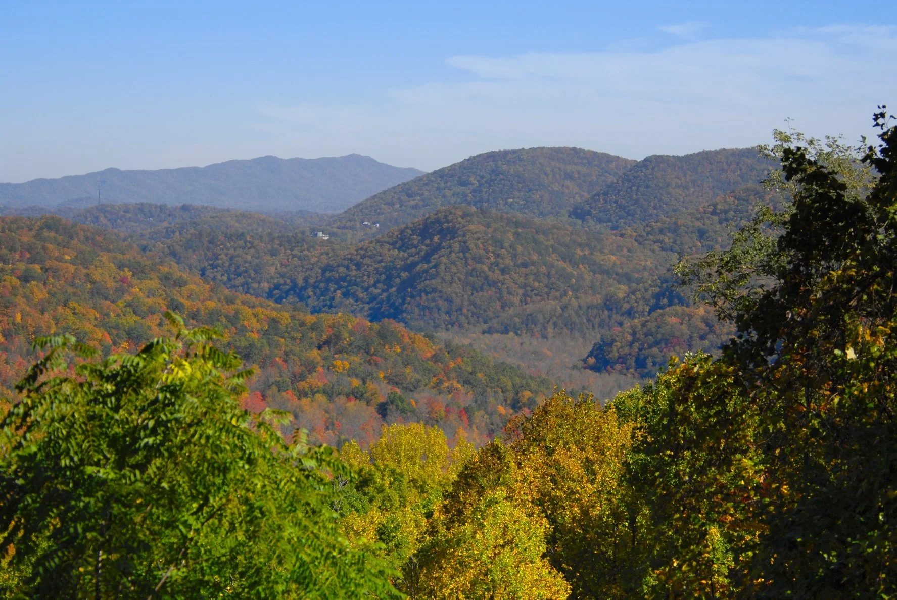 _DSC0005William Quarles Photography.JPG