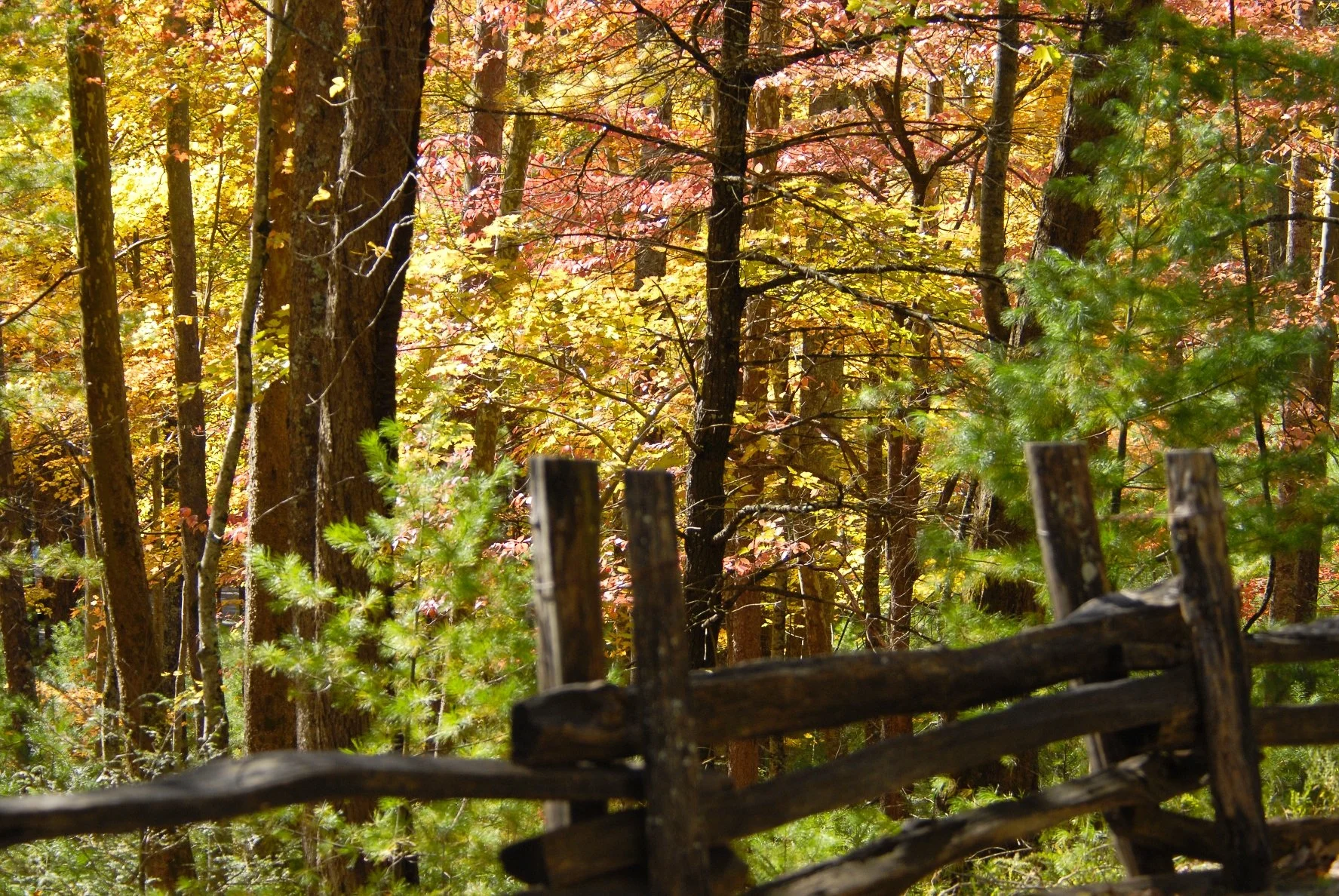 _DSC0013William Quarles Photography.JPG
