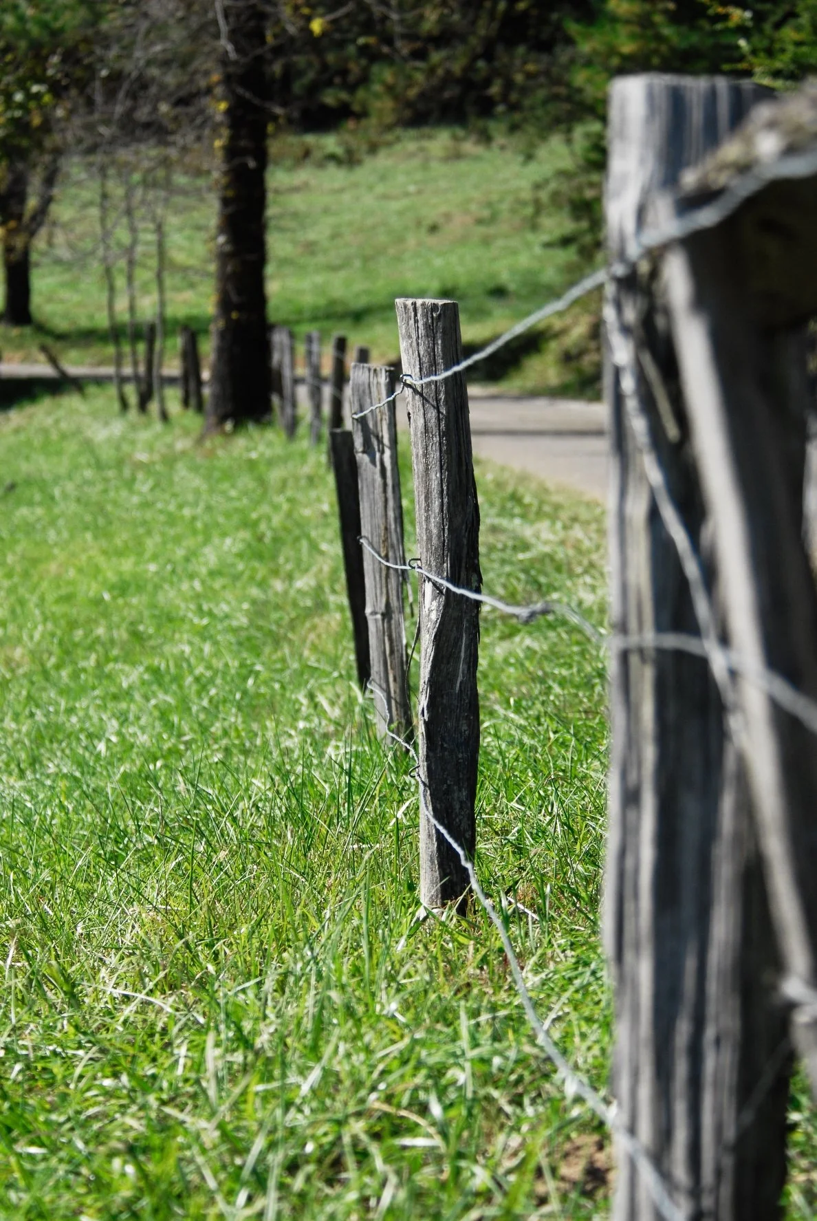 _DSC0042William Quarles Photography.JPG