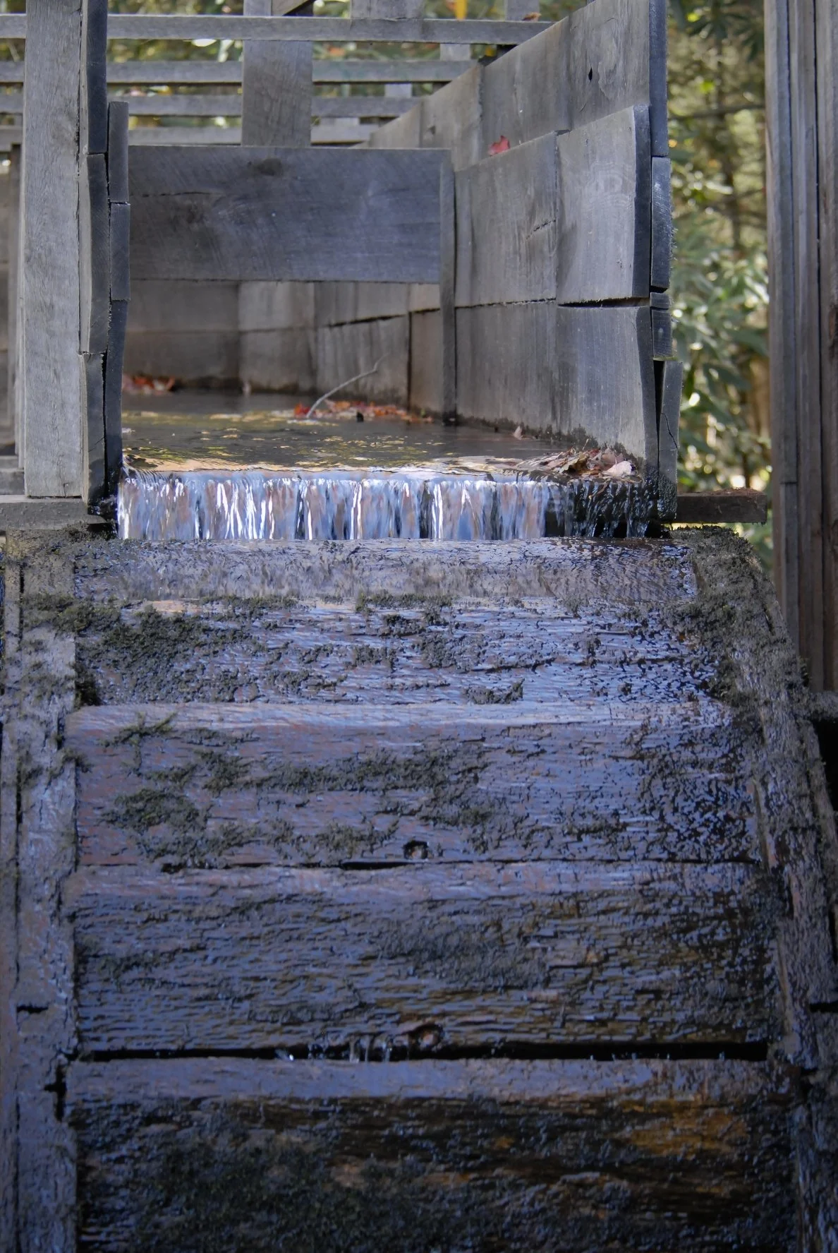 _DSC0049William Quarles Photography.JPG